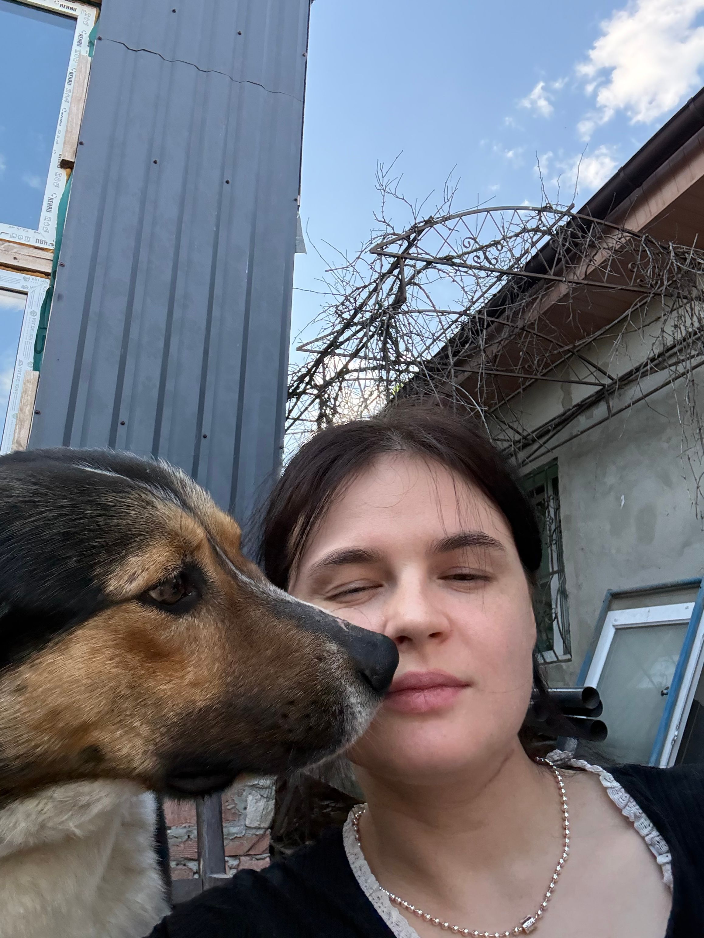 image-0