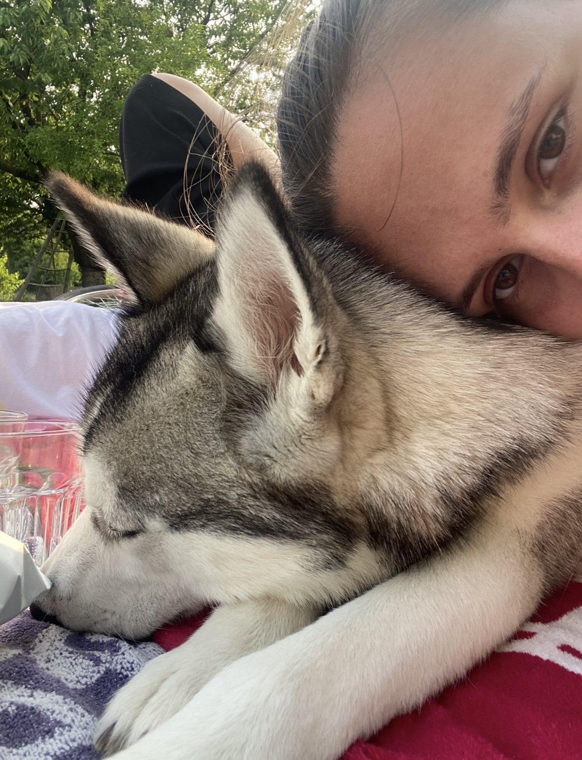 image-8