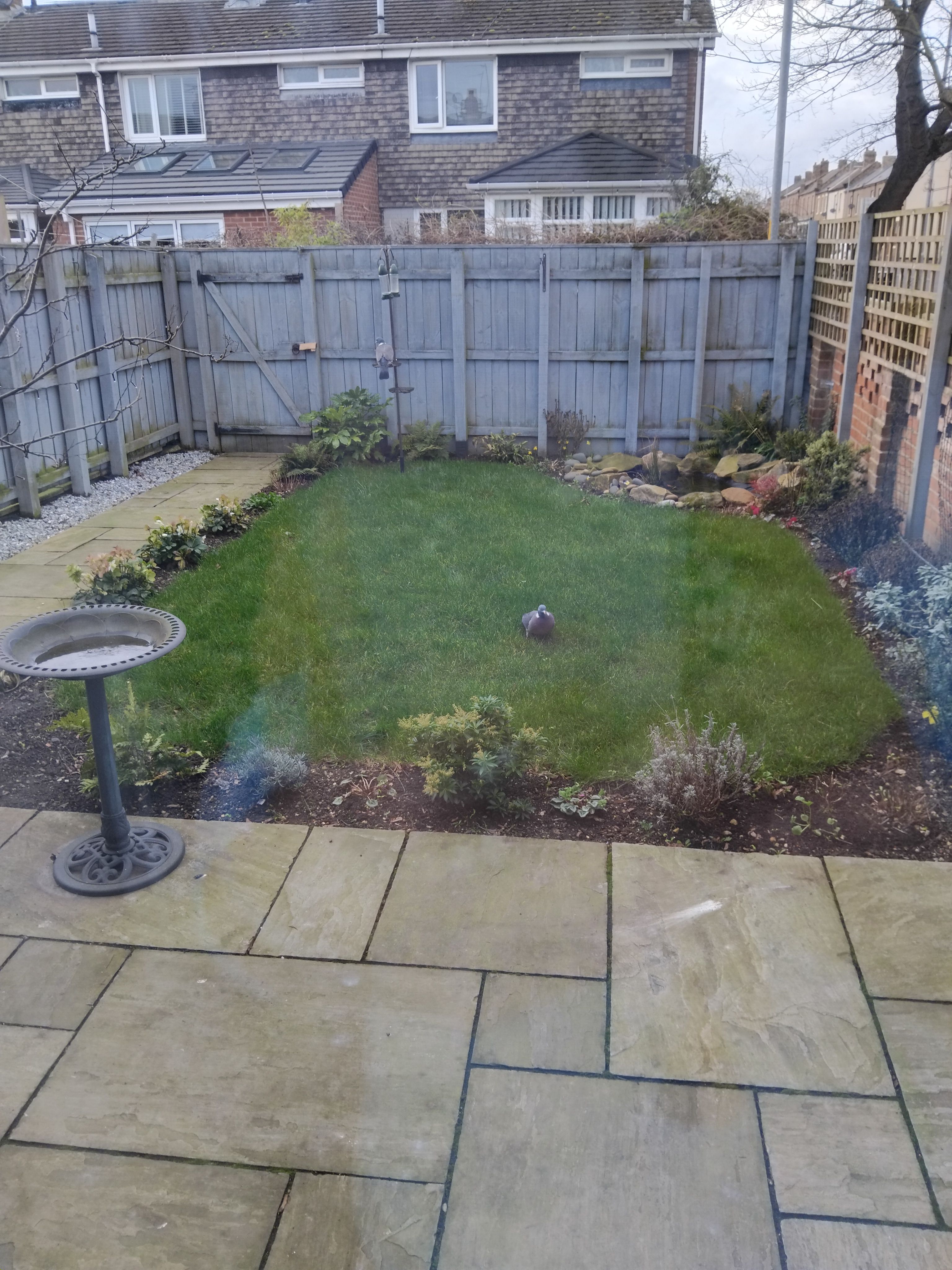 image-9