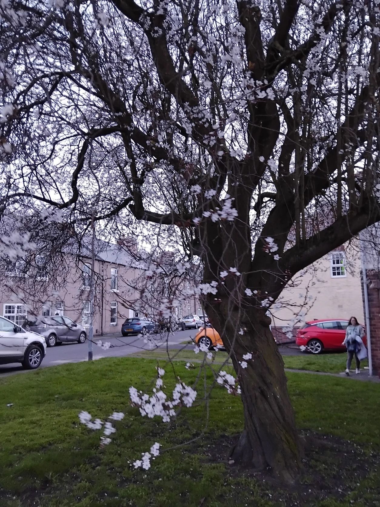 image-16