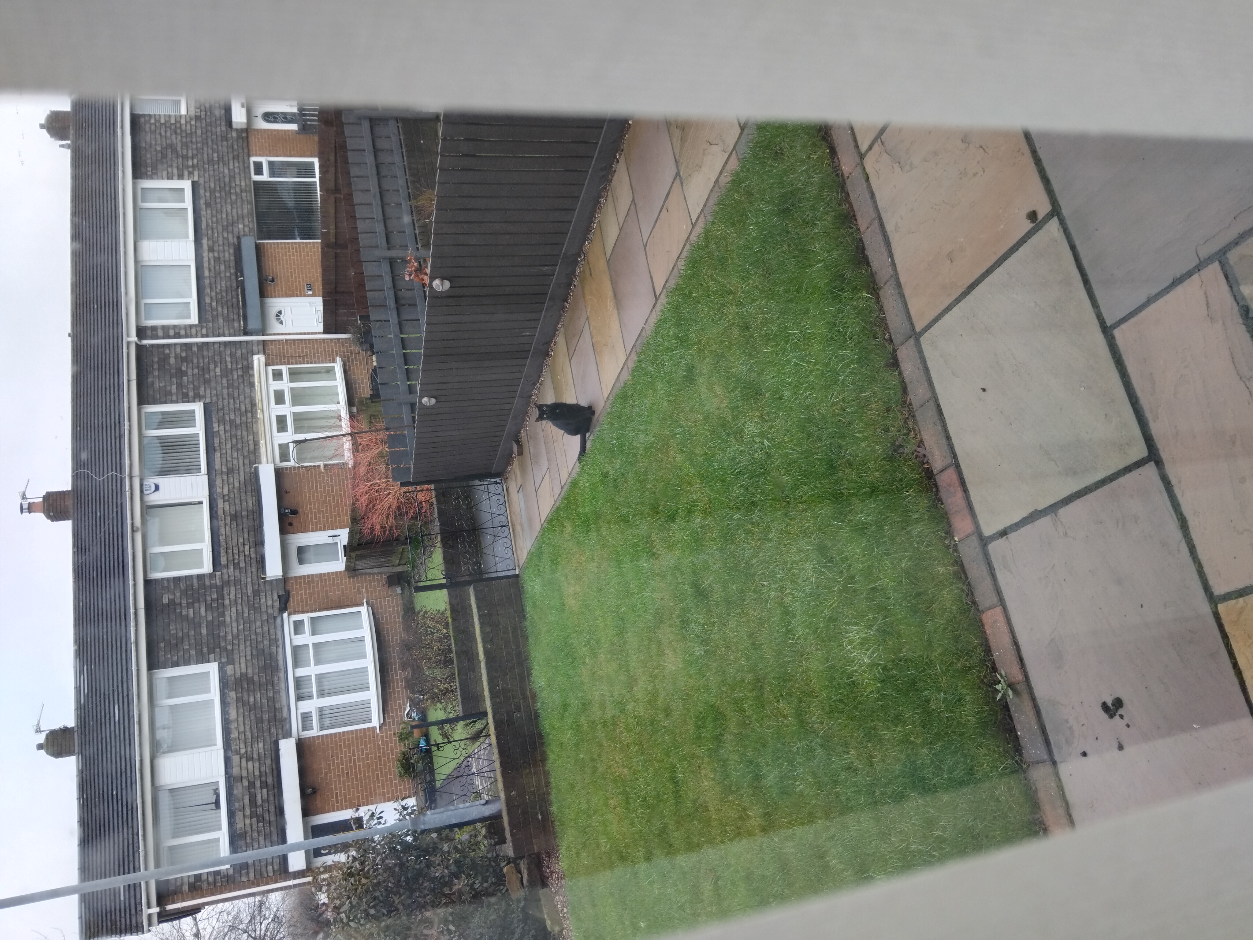 image-8
