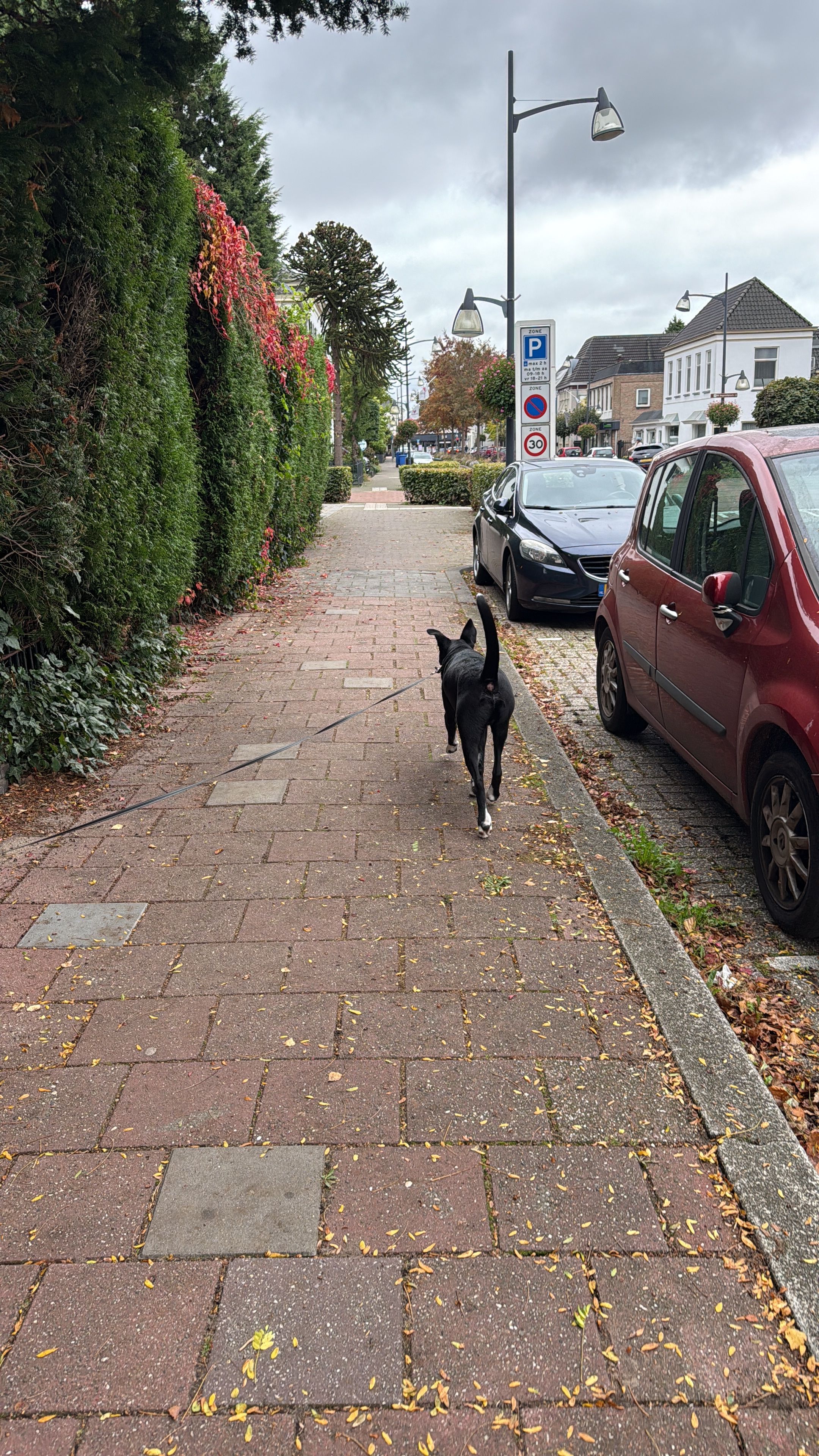 image-17