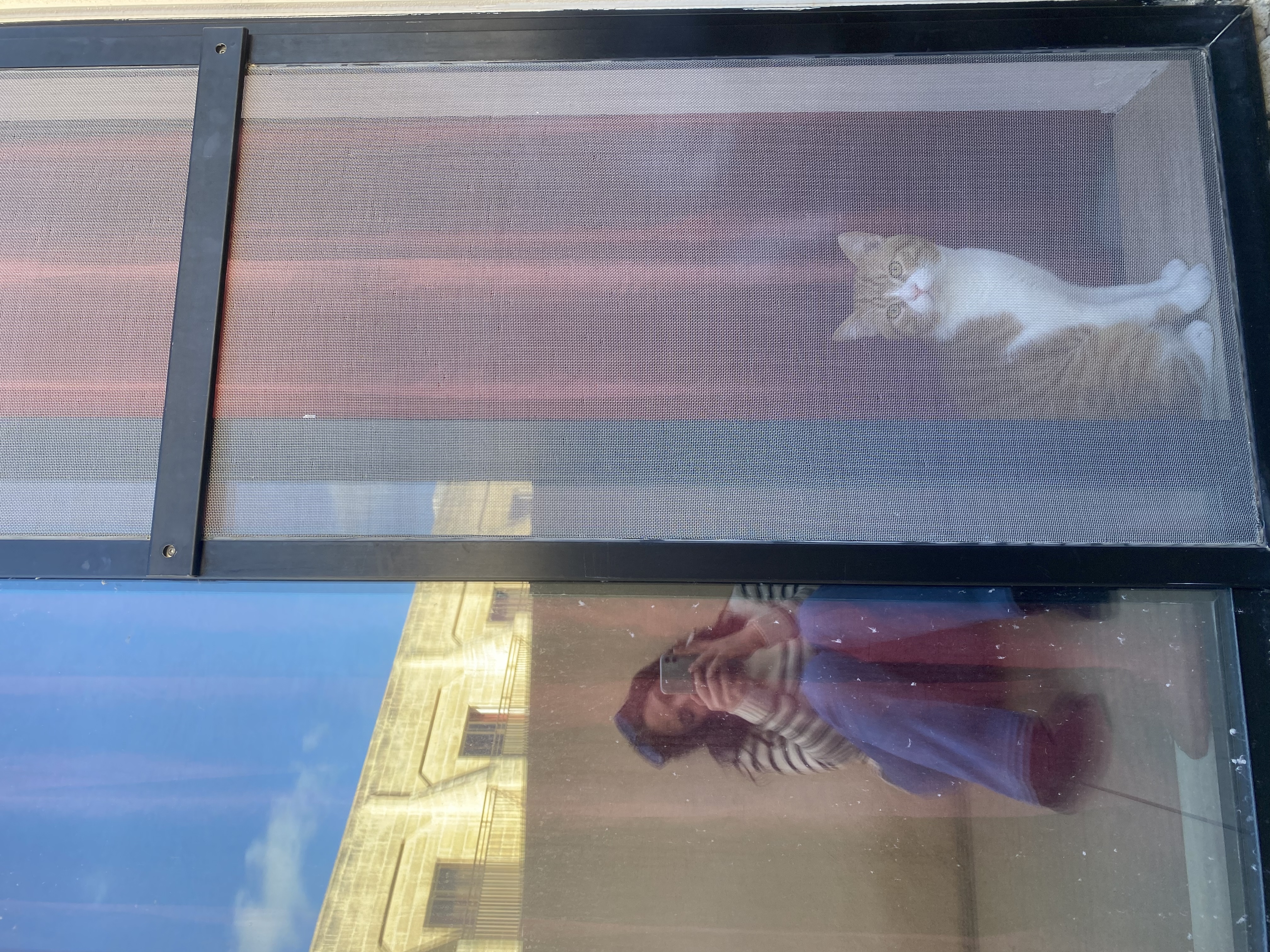 image-7