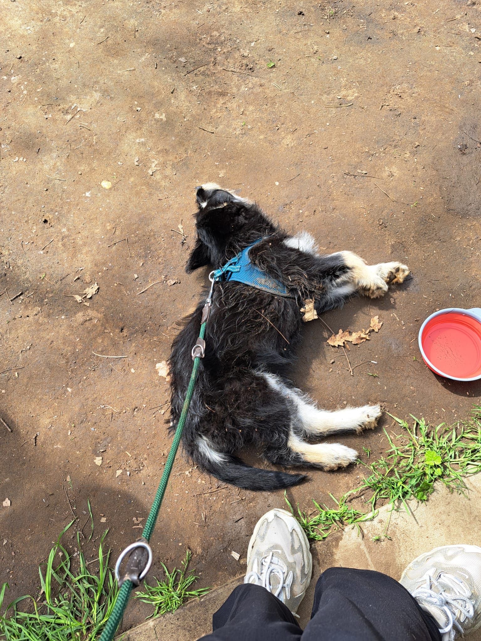 image-8