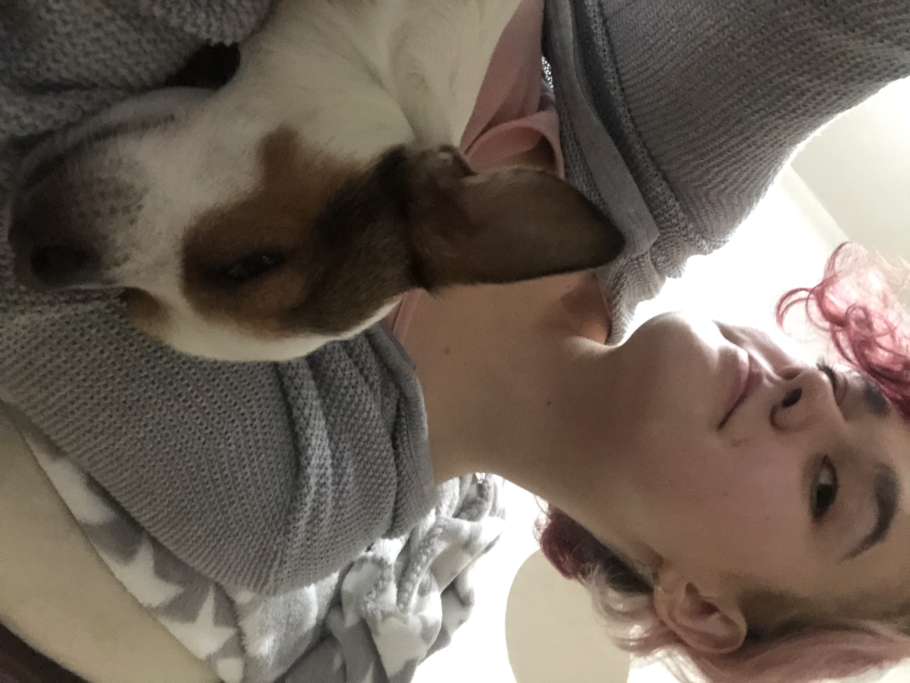 image-9