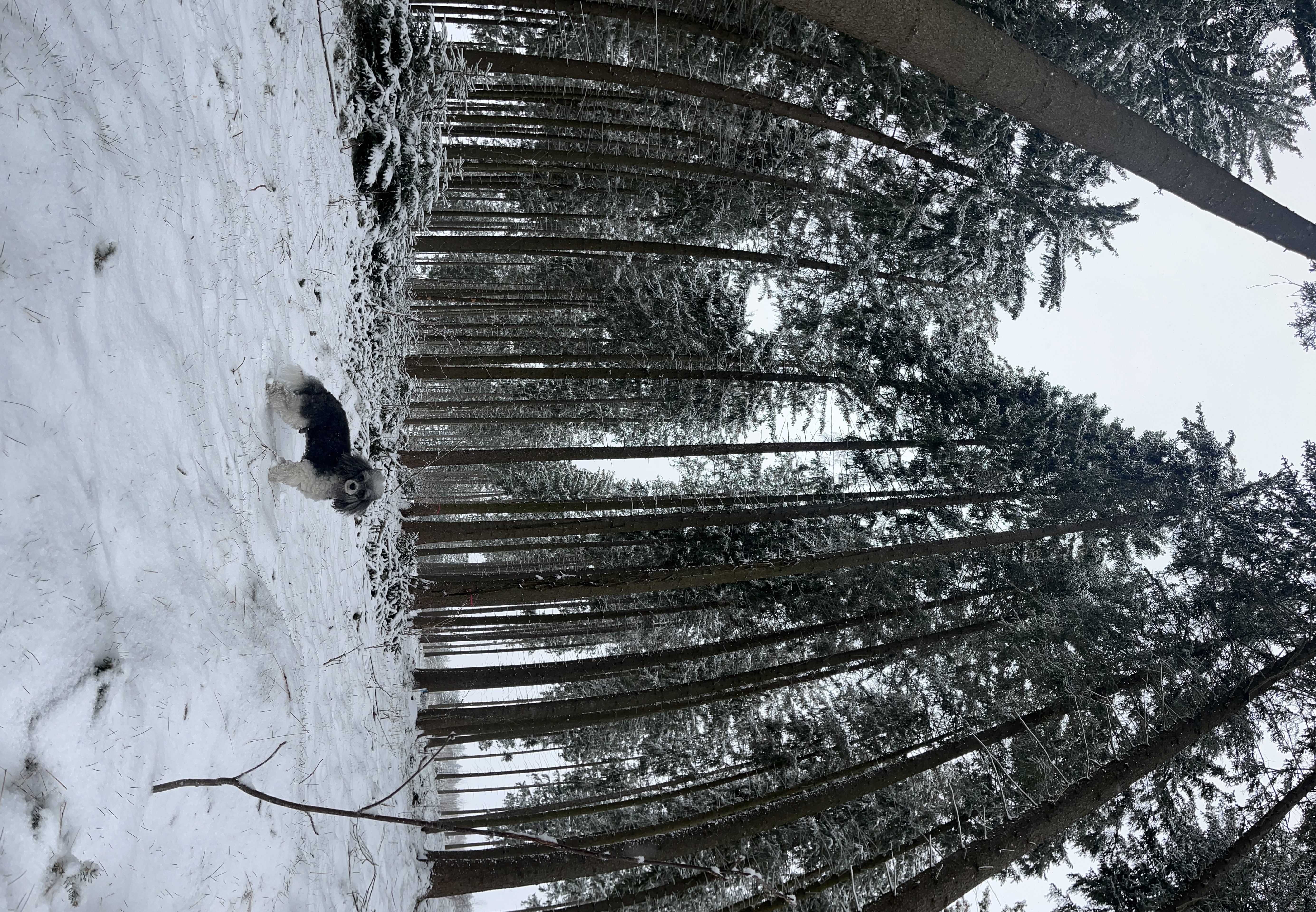 image-14