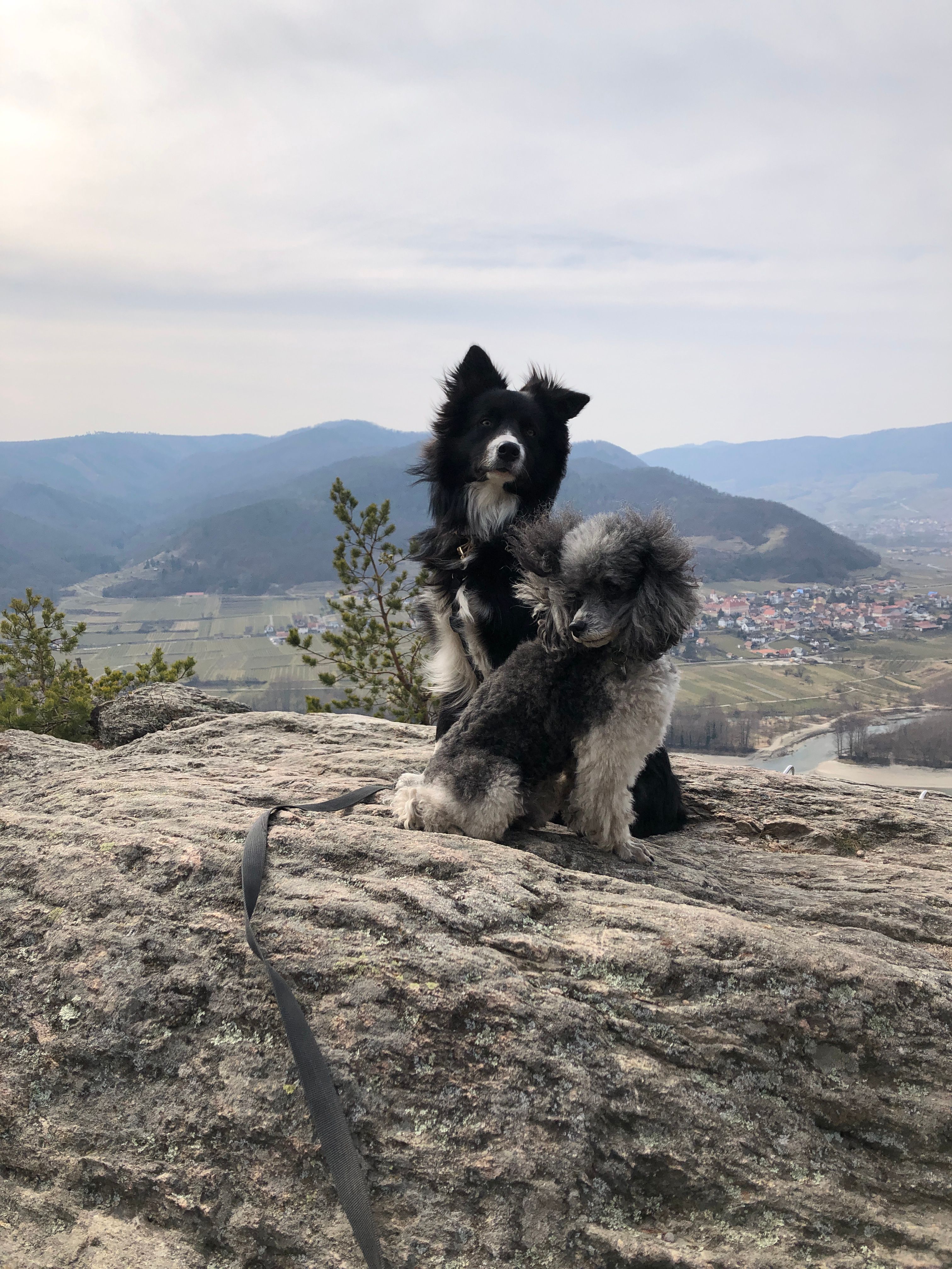 image-15