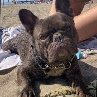Luis