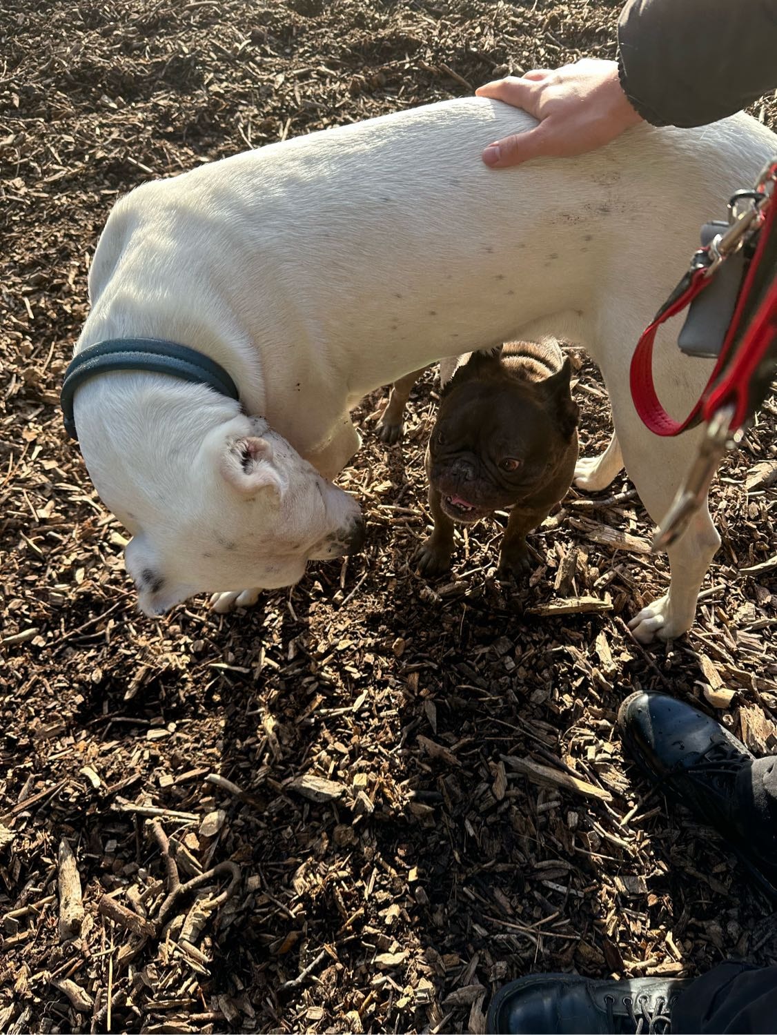 image-12