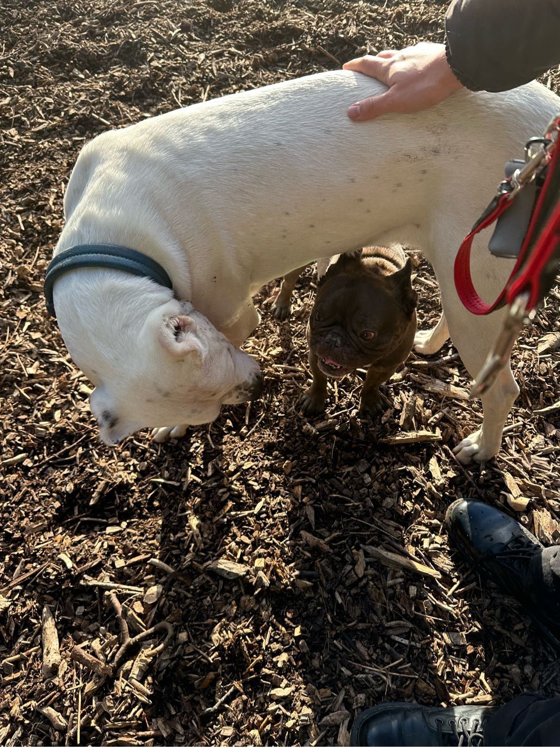 image-12