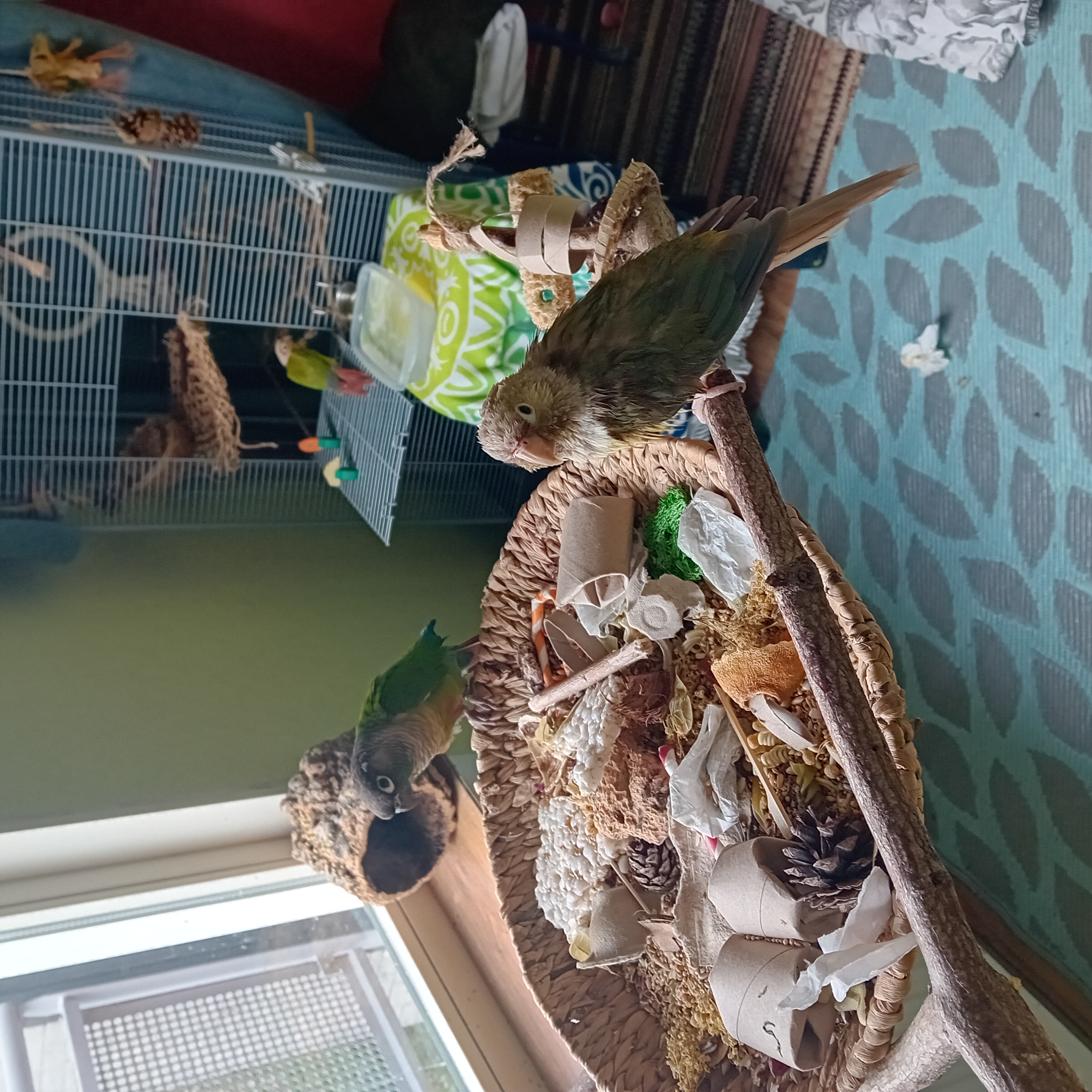 image-18