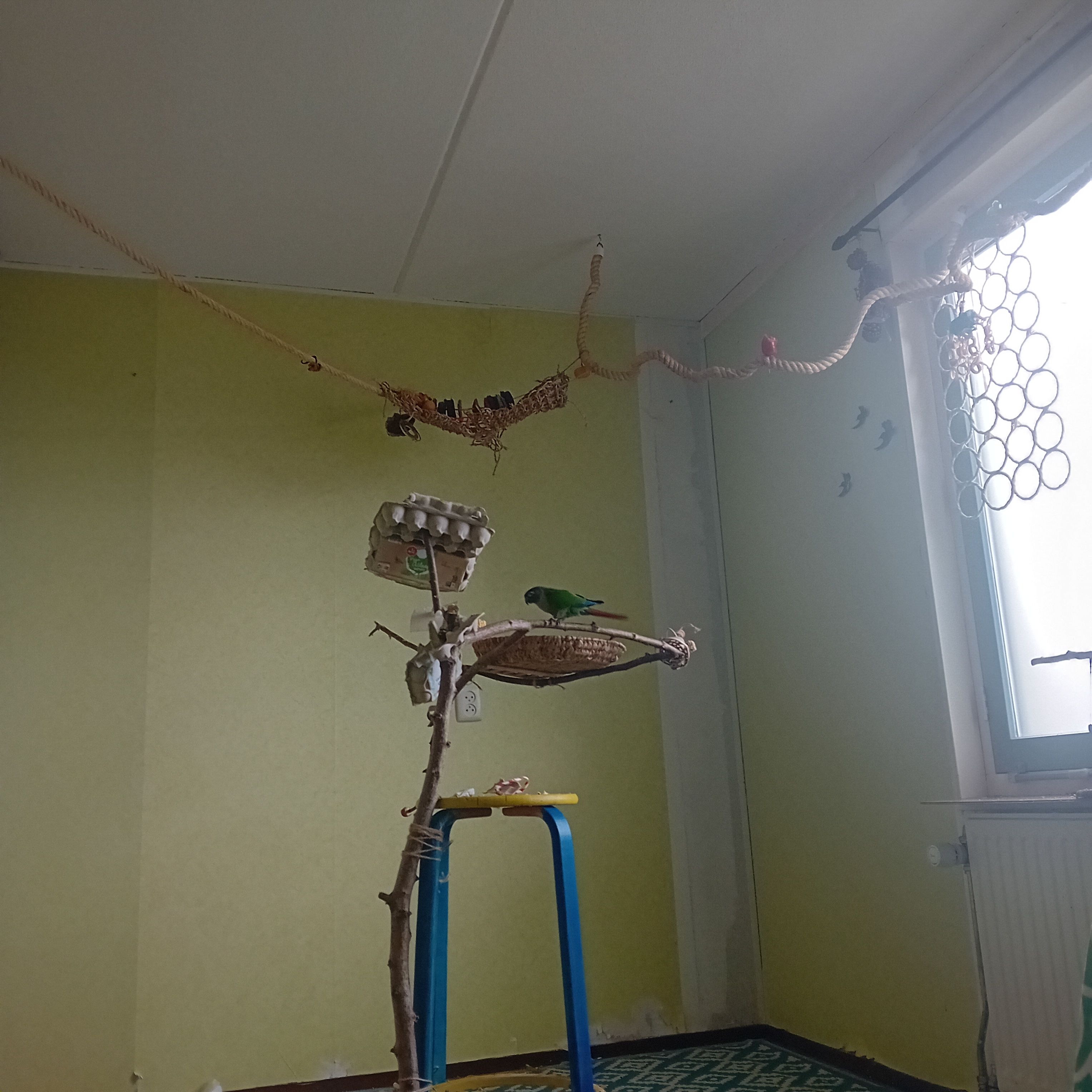 image-21