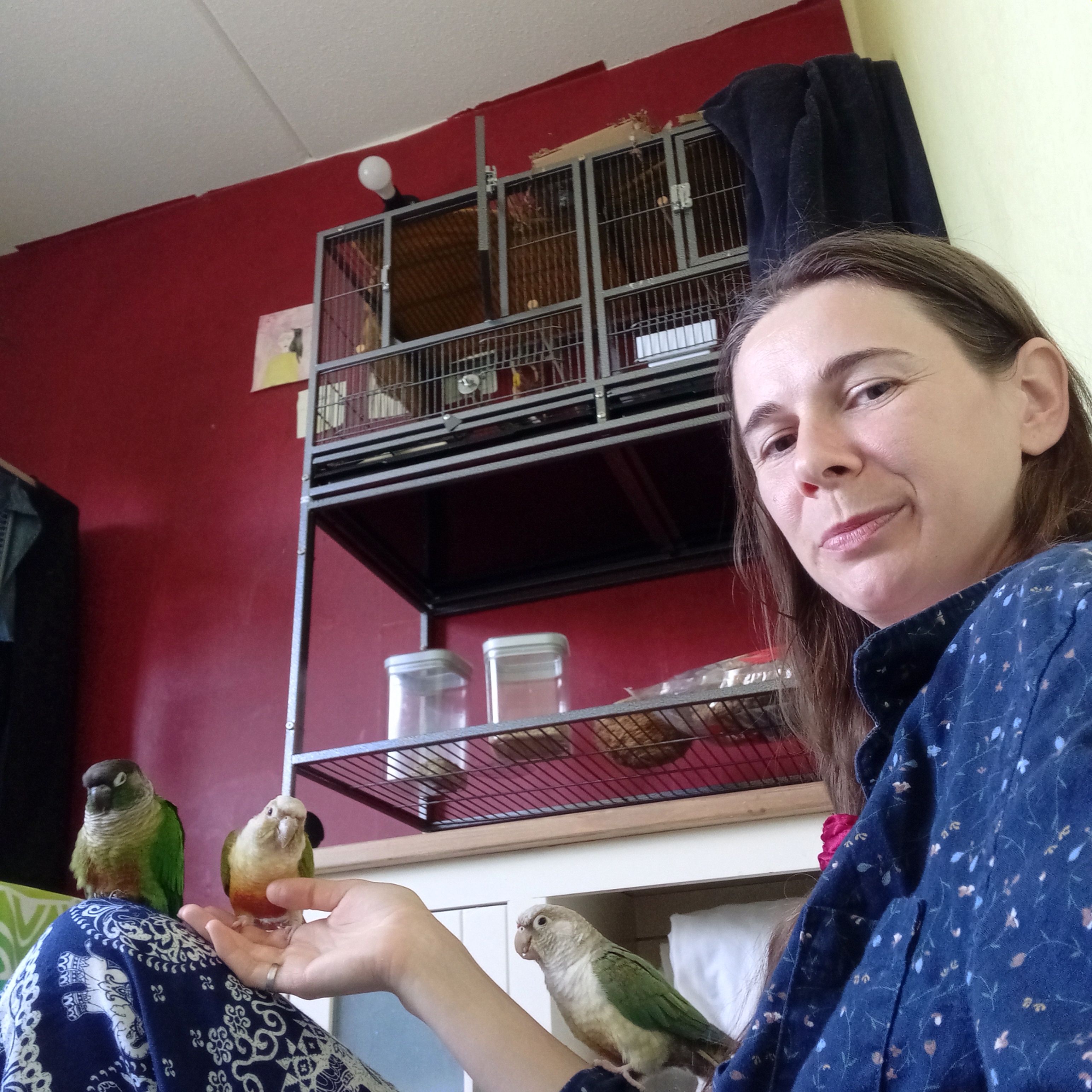 image-14