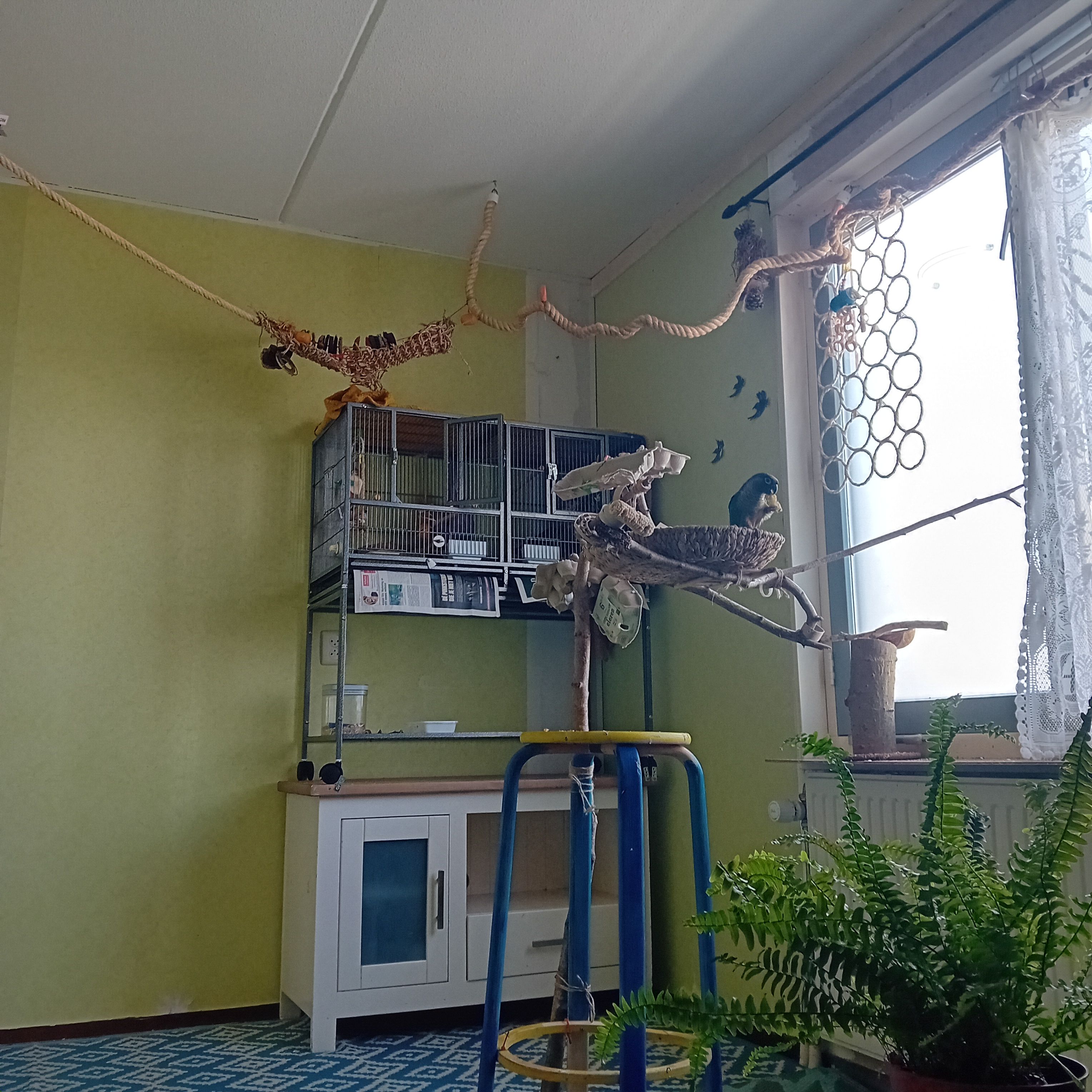 image-19