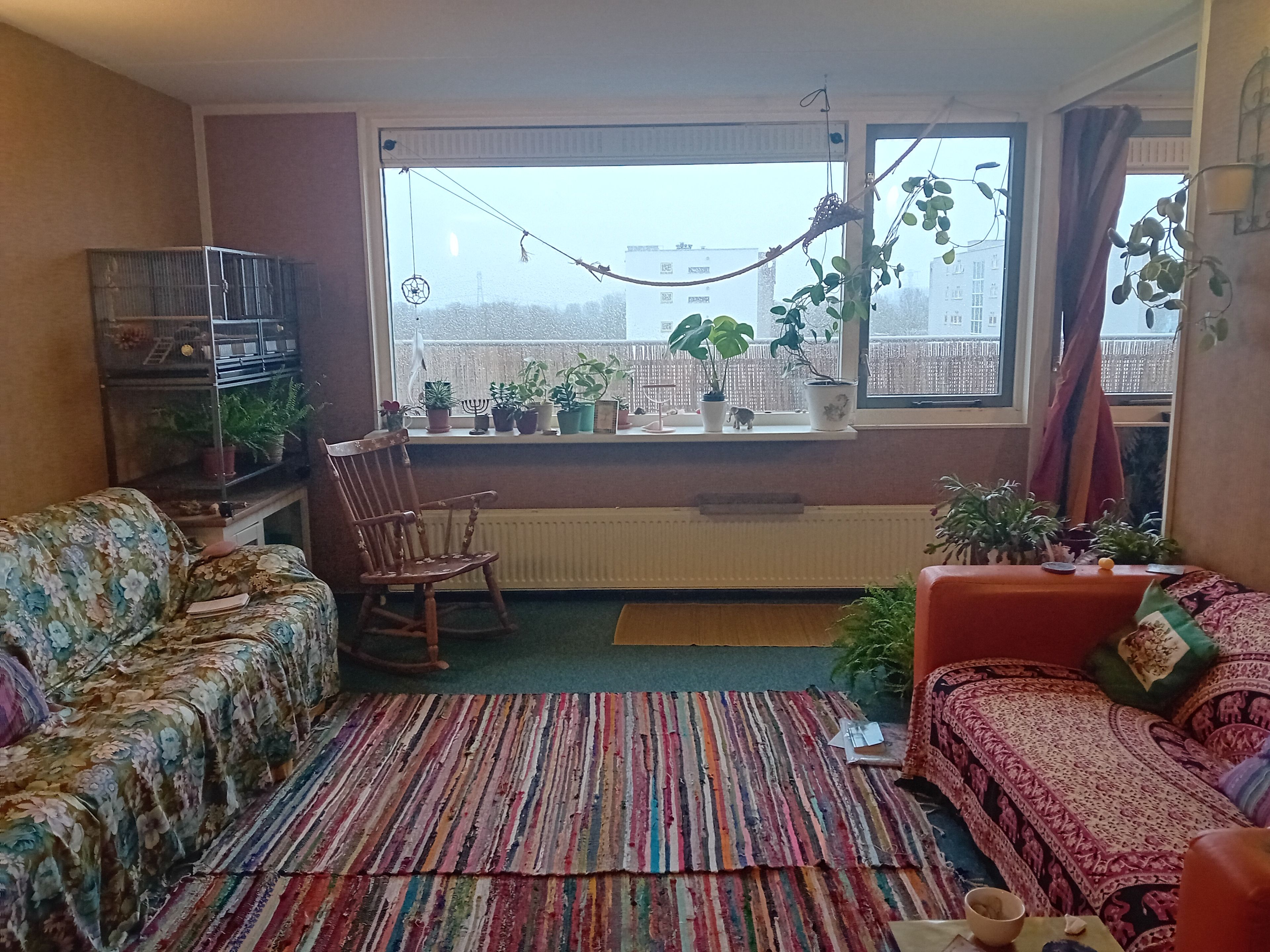 image-19