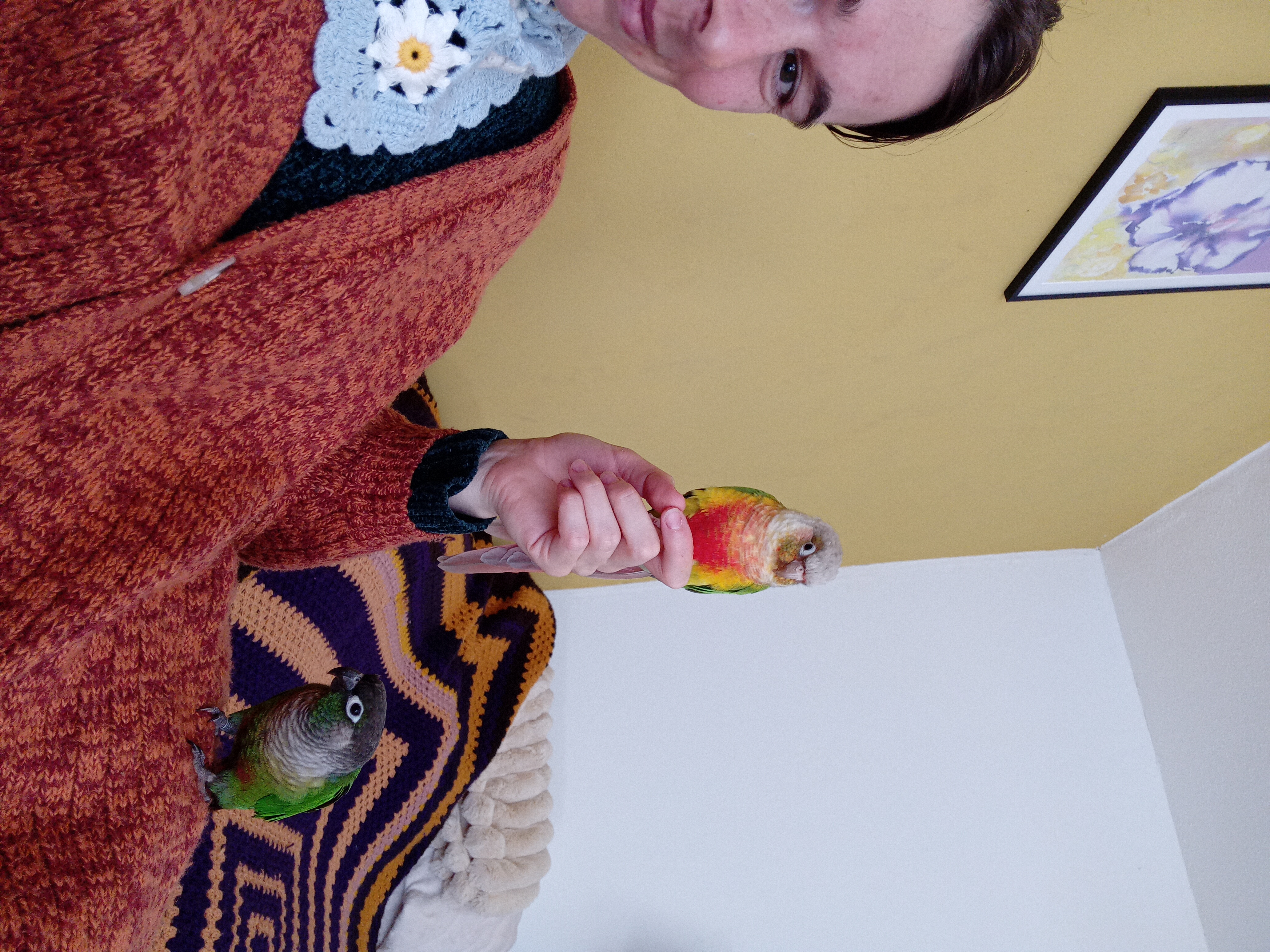image-4