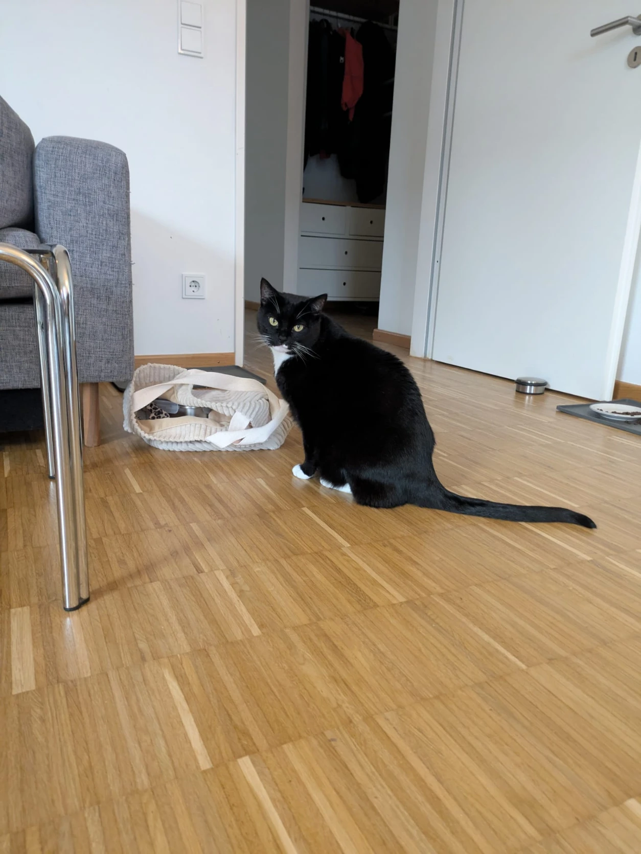 image-12