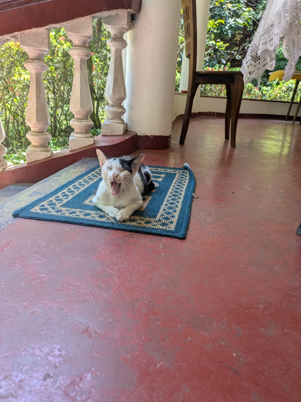 image-5