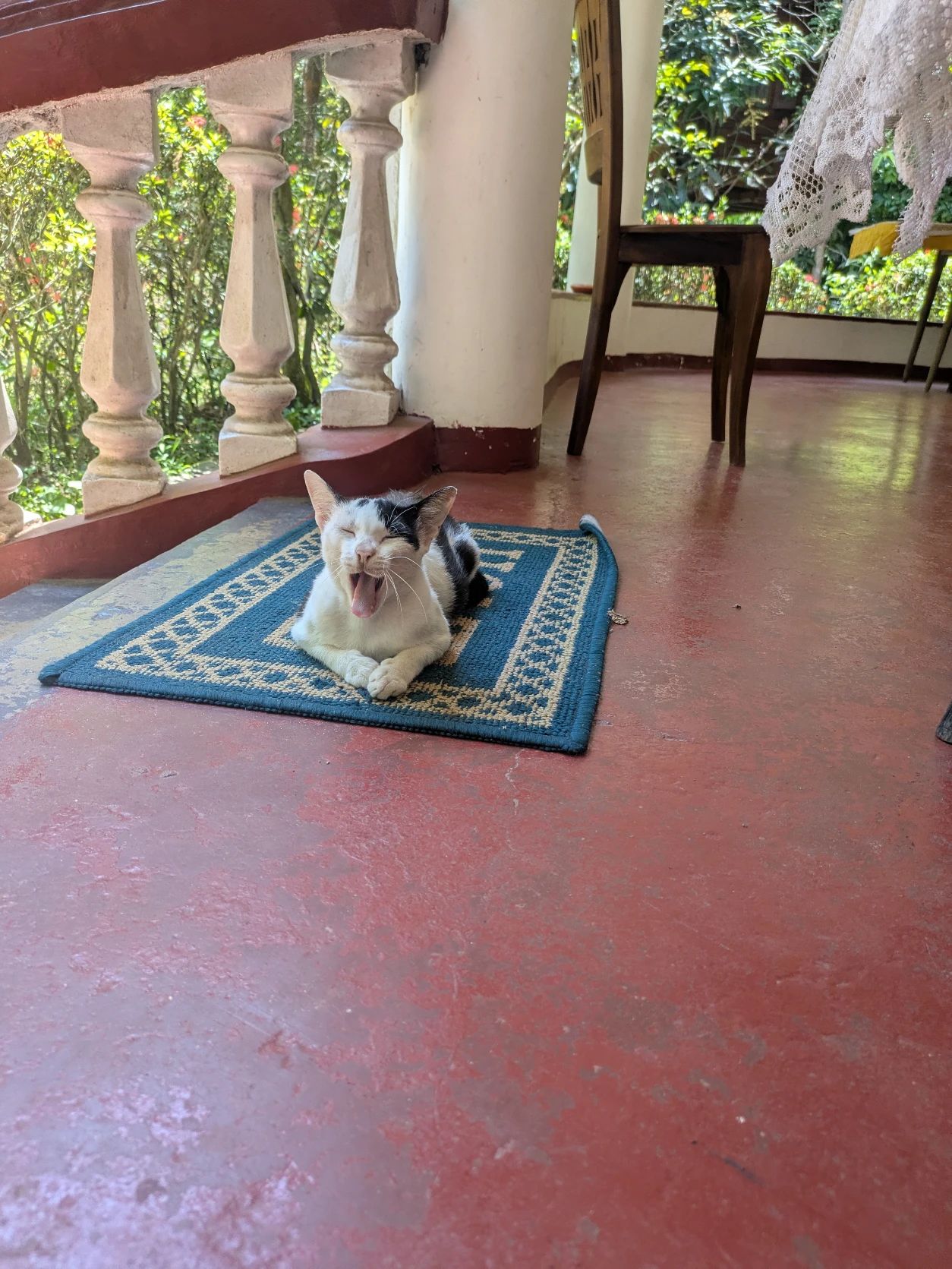 image-5