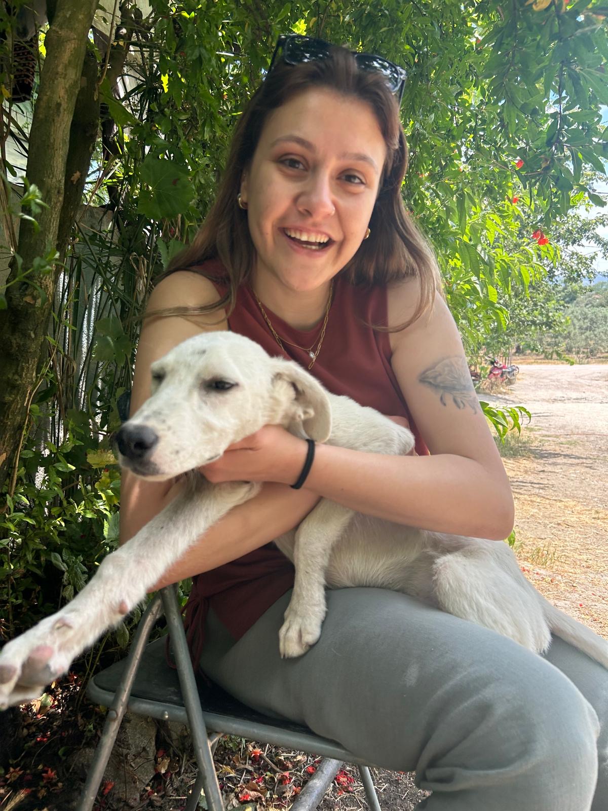 image-0