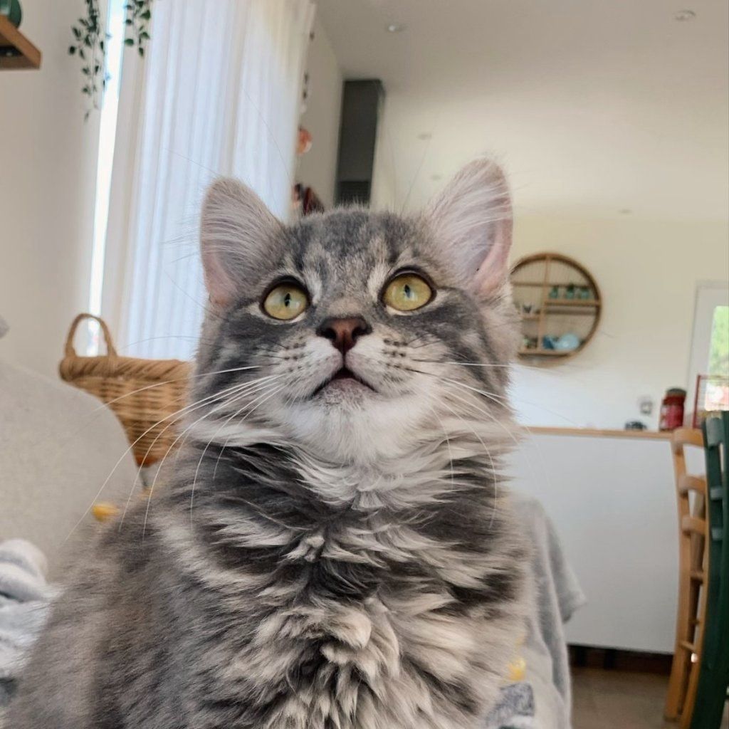 Suzie