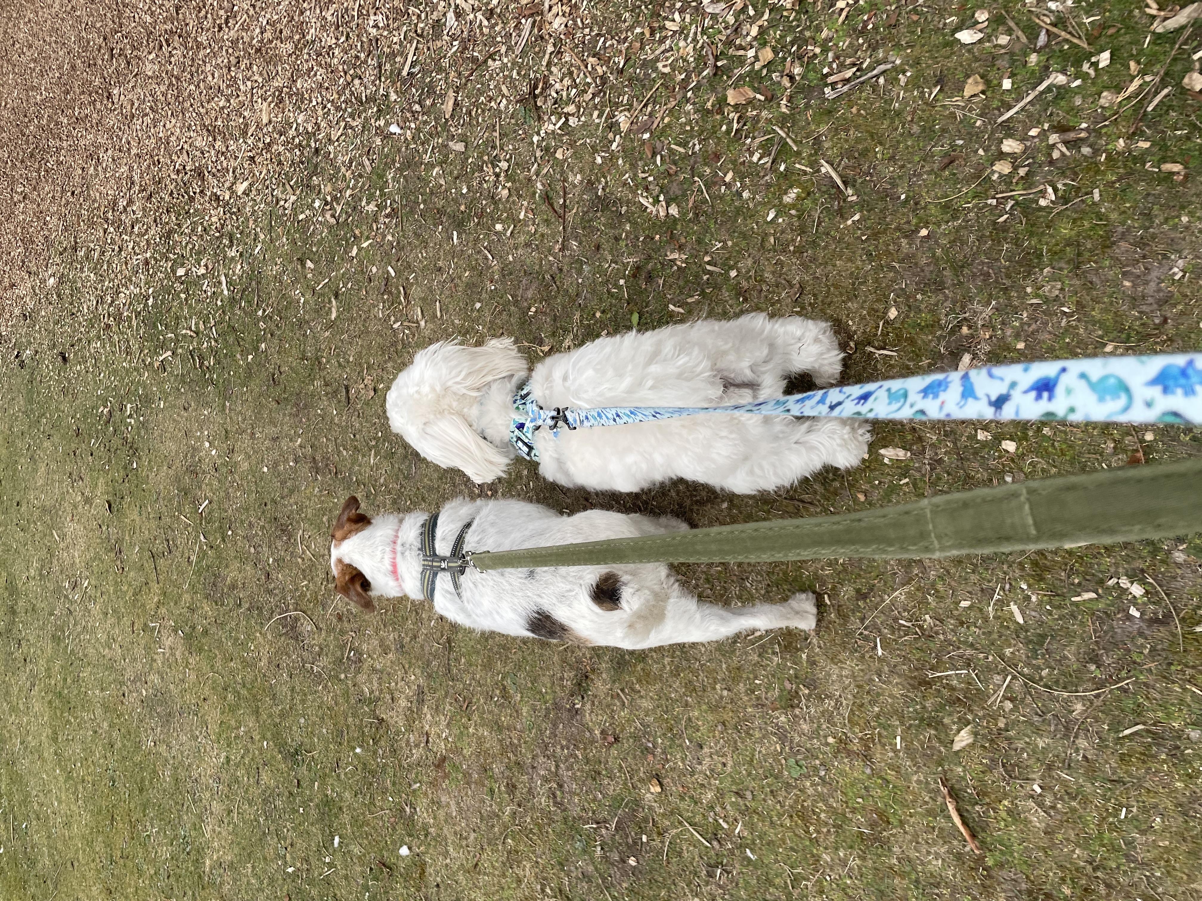image-16