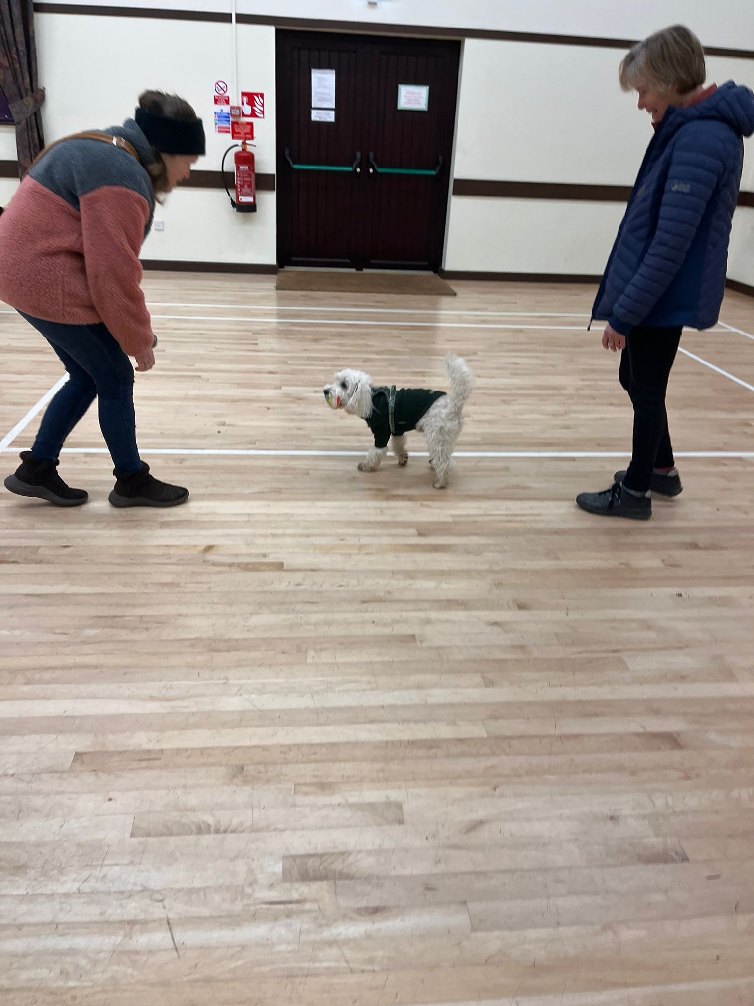 image-8