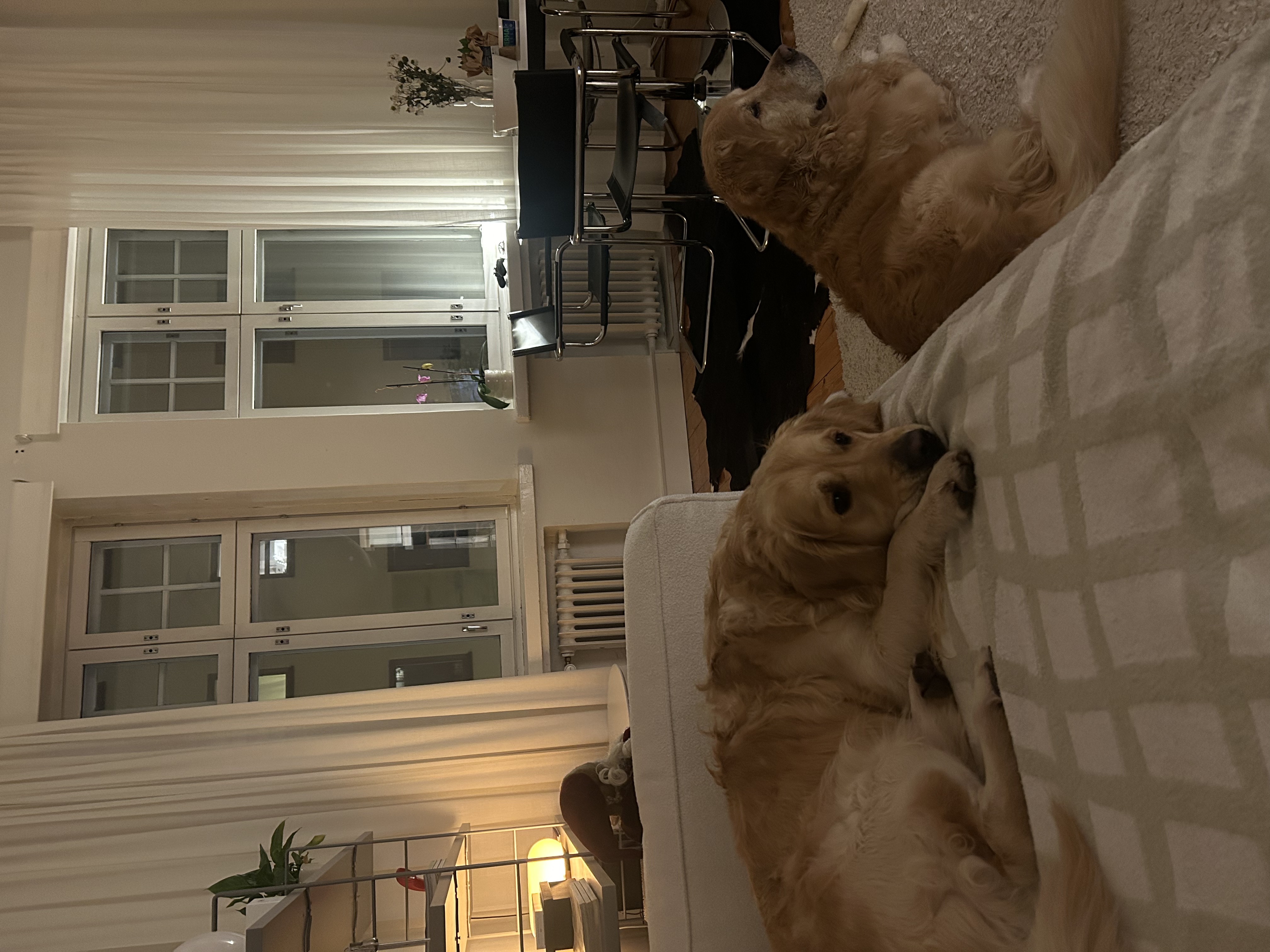 image-9