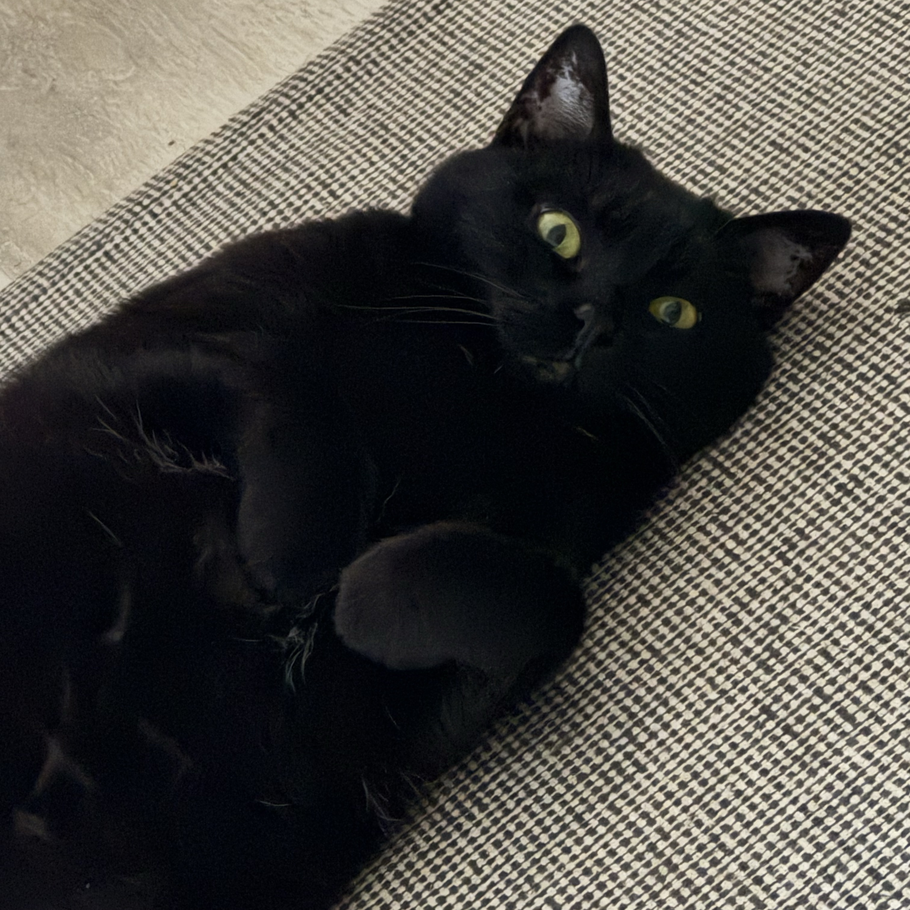 Milka