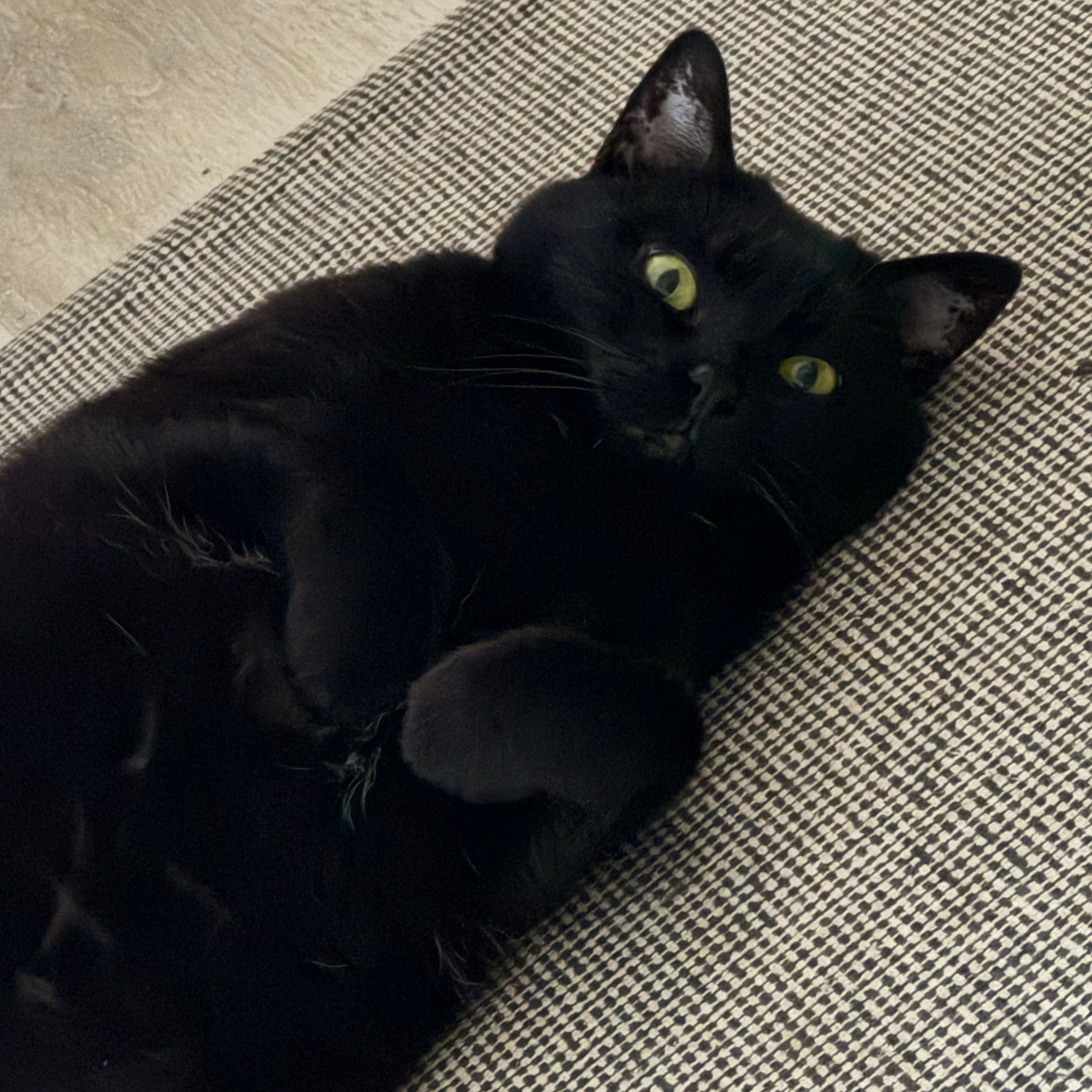Milka