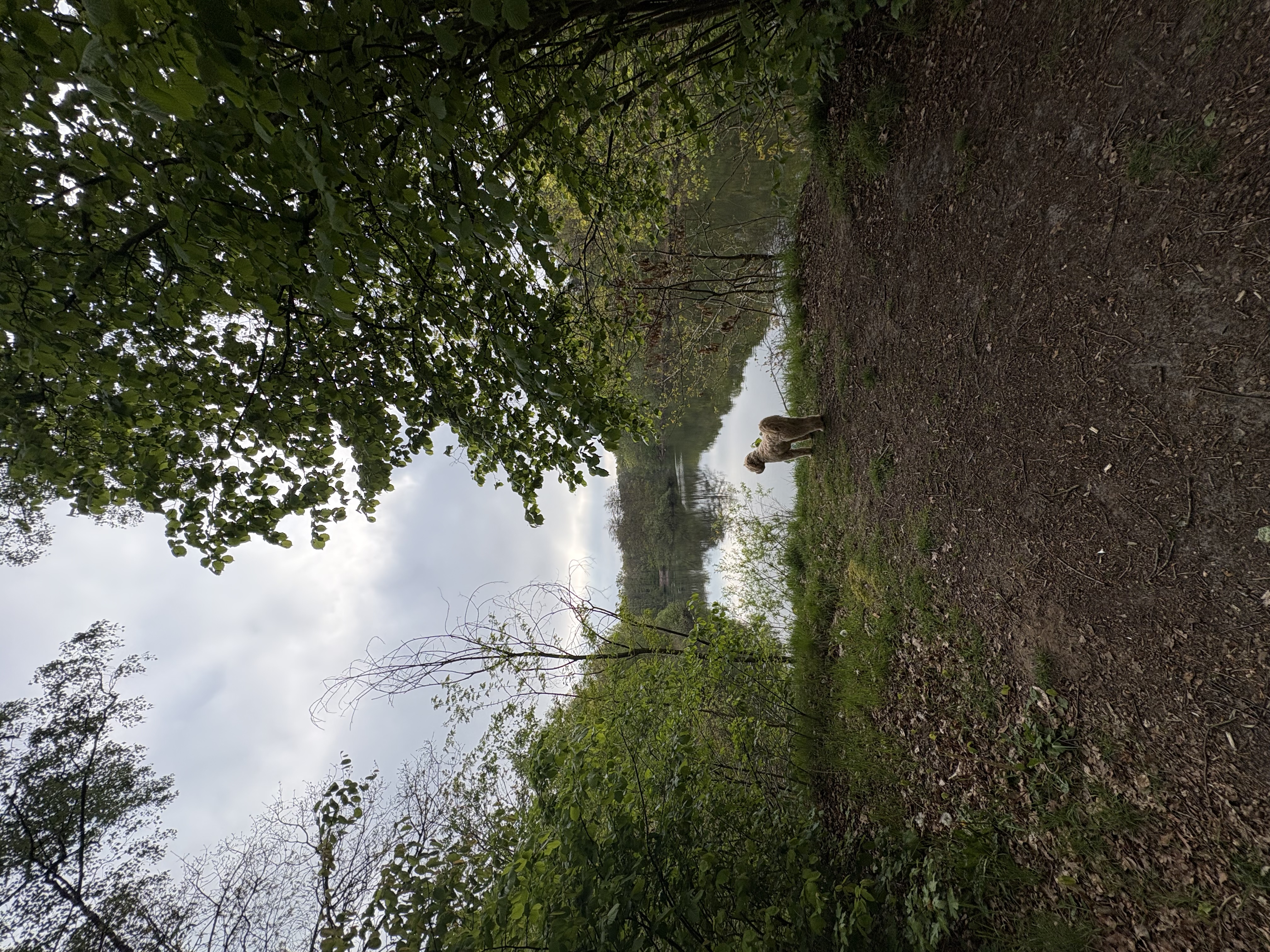image-17