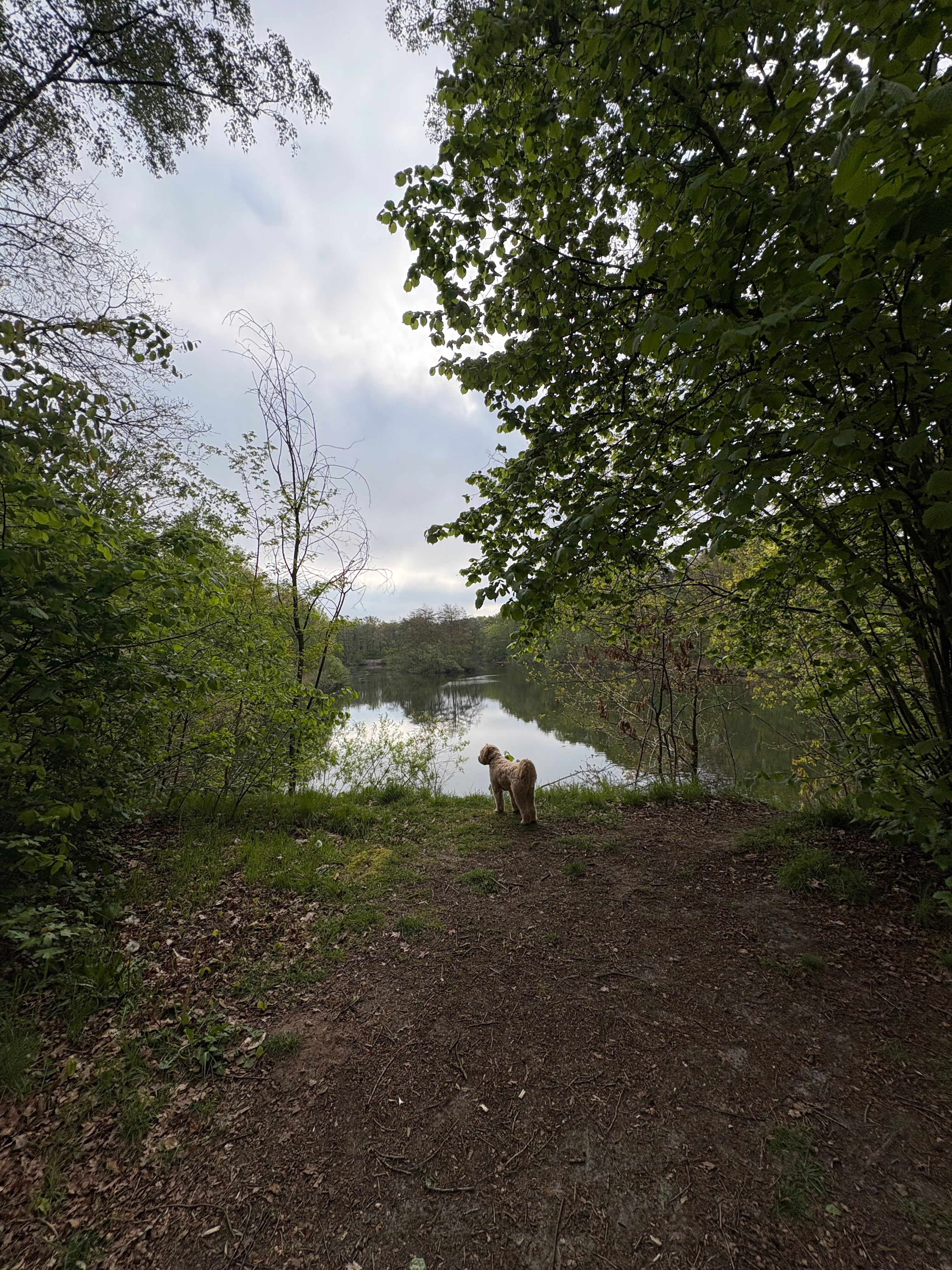 image-17