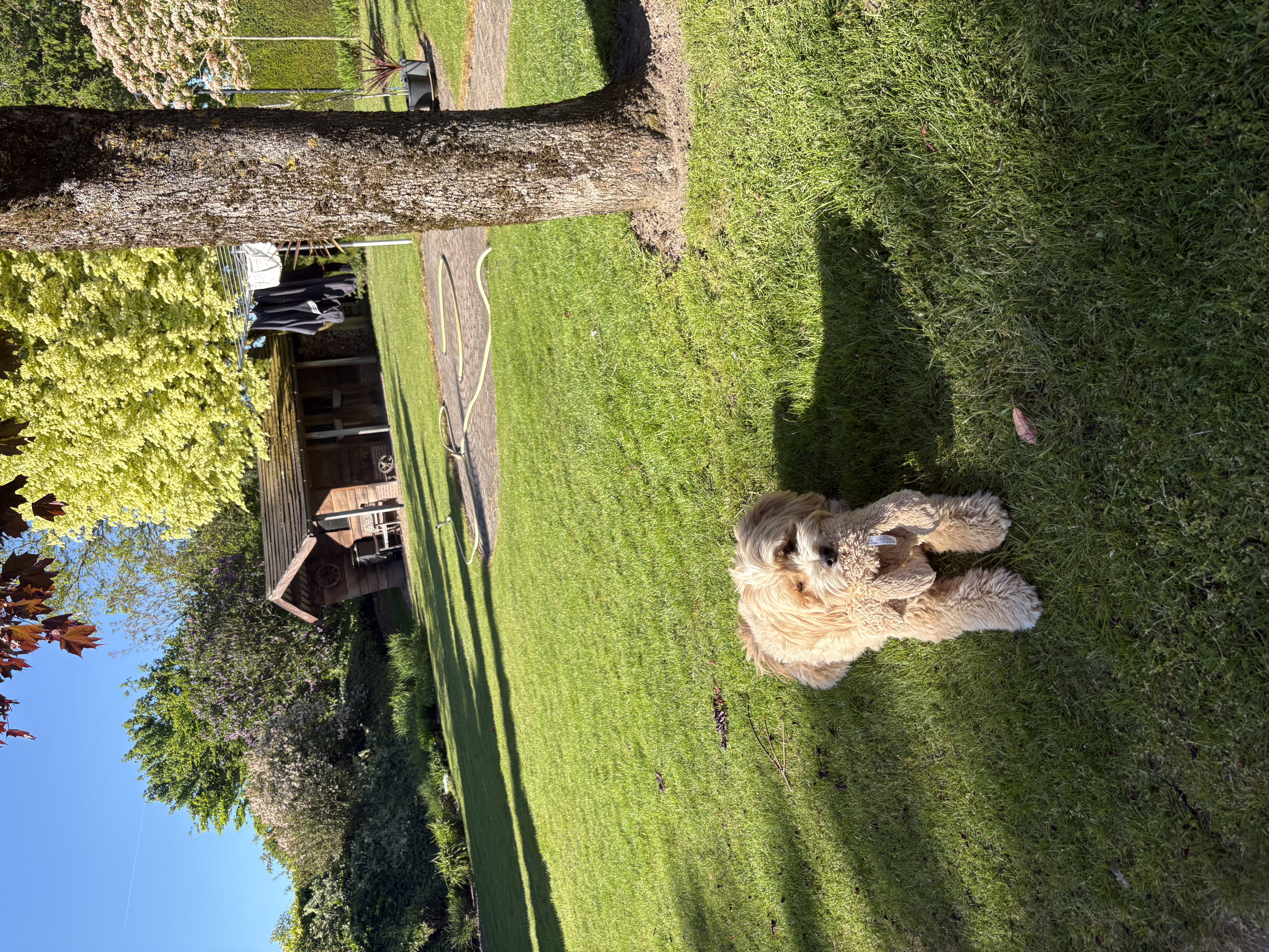 image-14