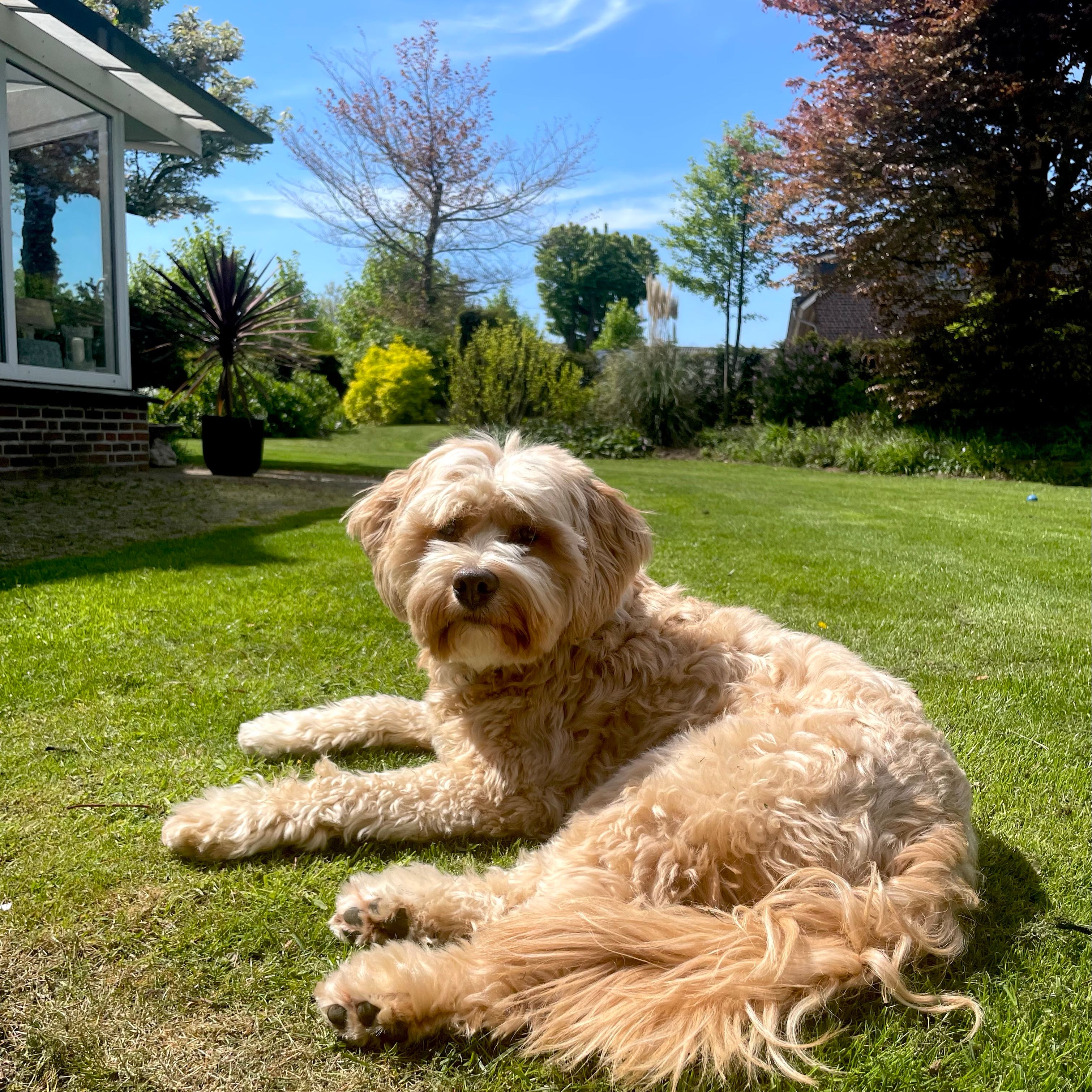 Bobbie