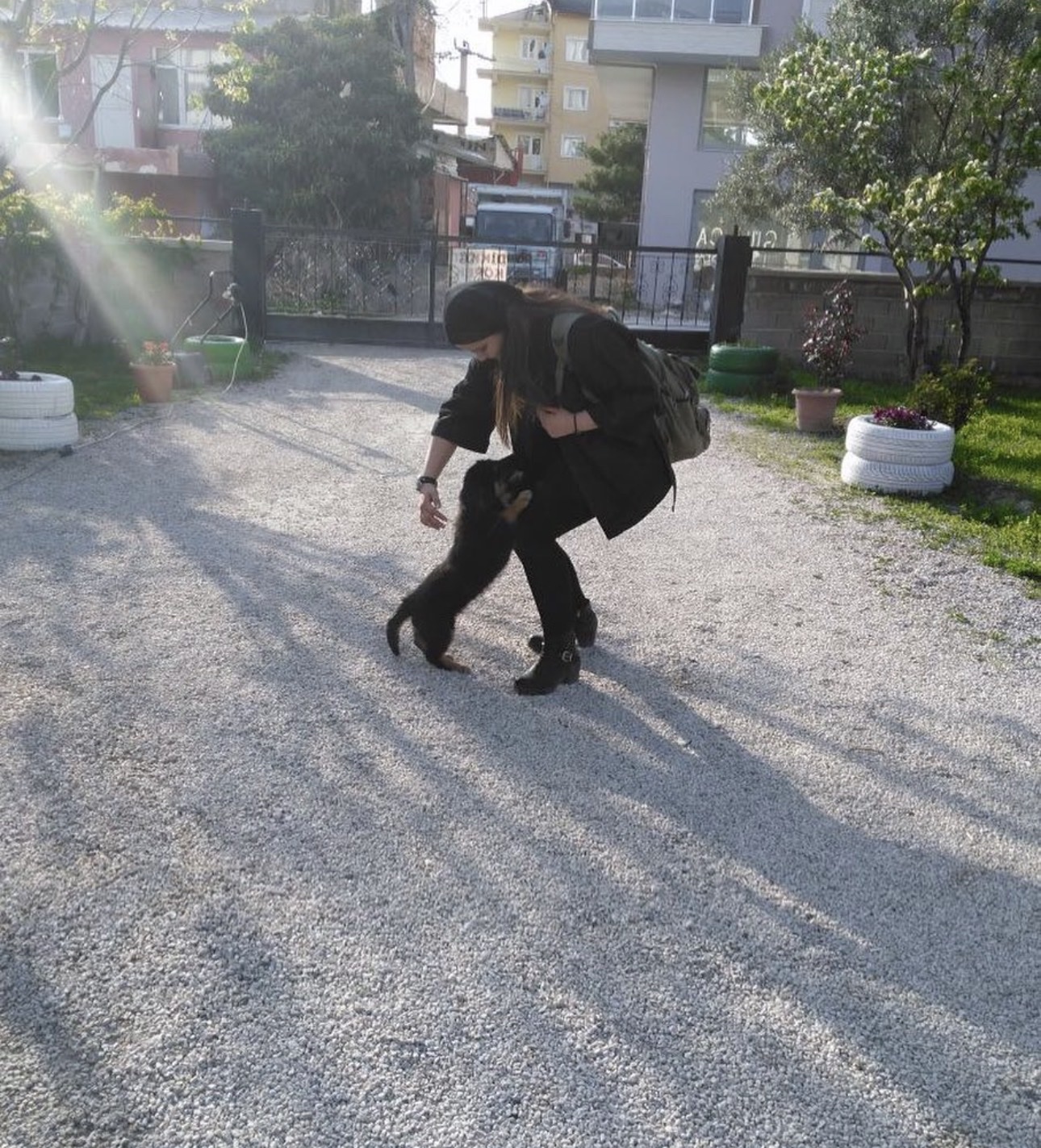 image-13
