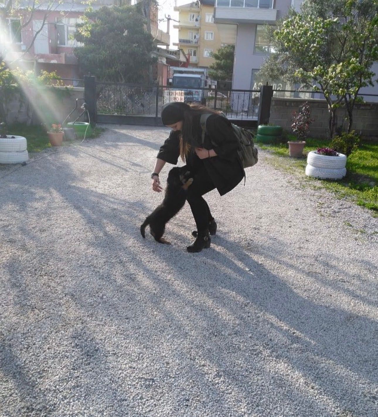 image-13
