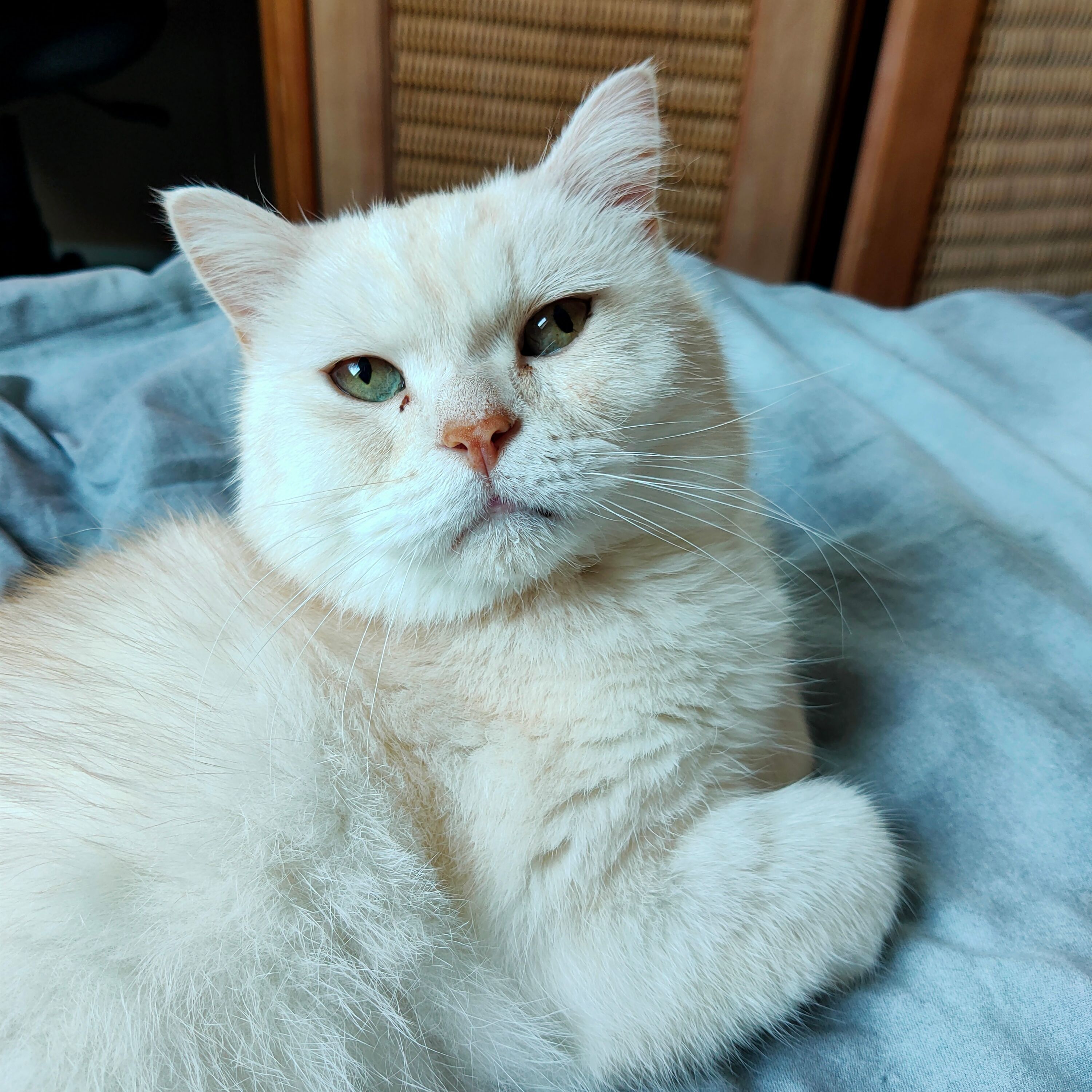 Boris
