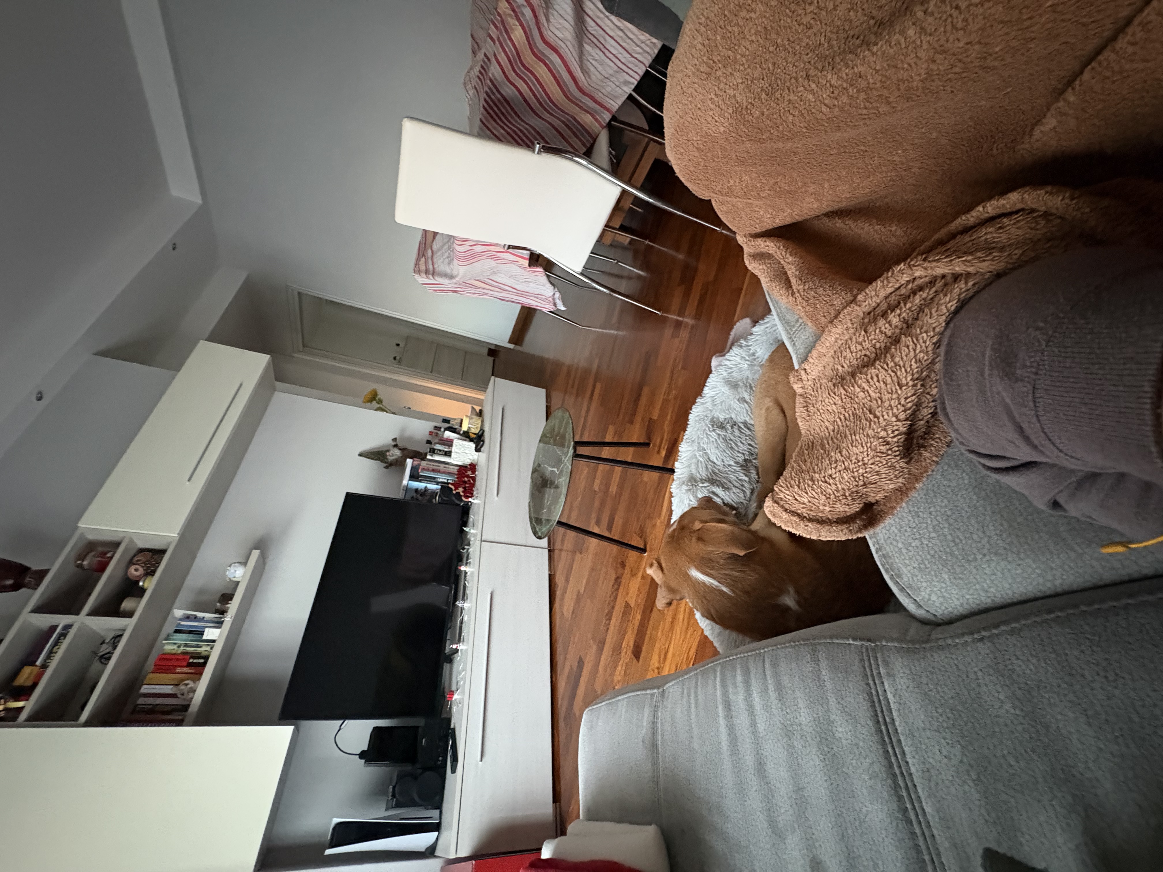 image-19