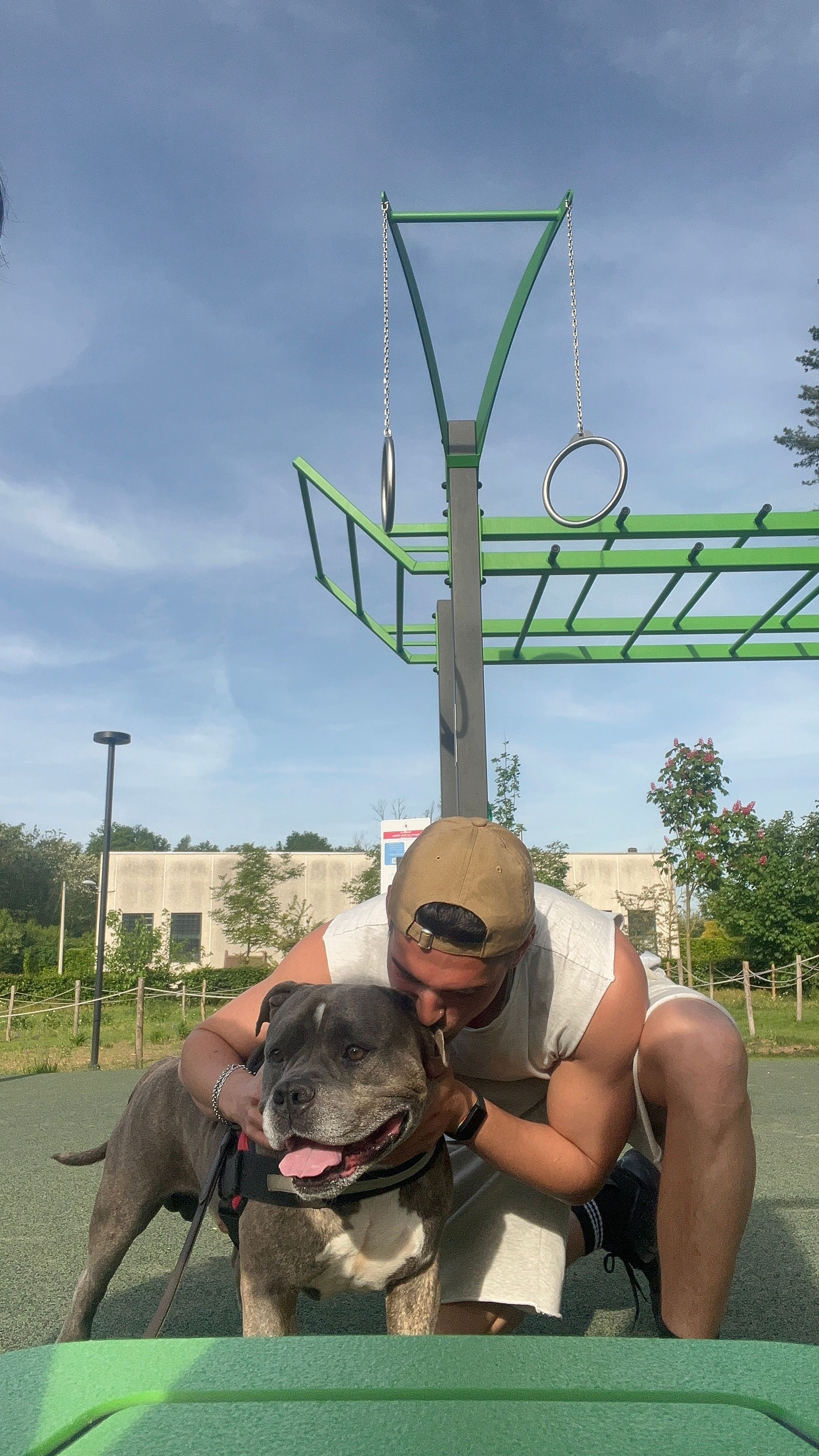 image-6