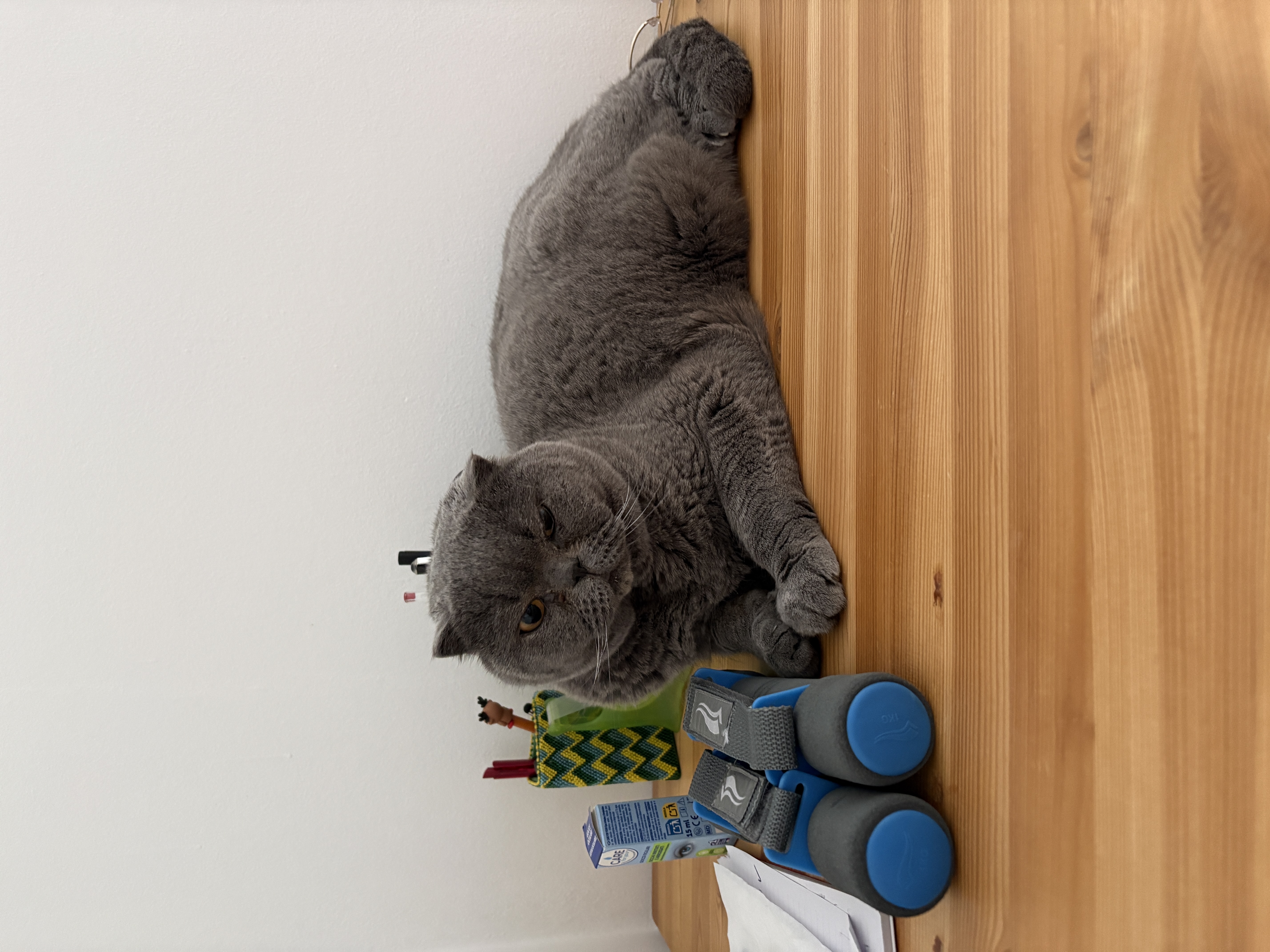 image-15