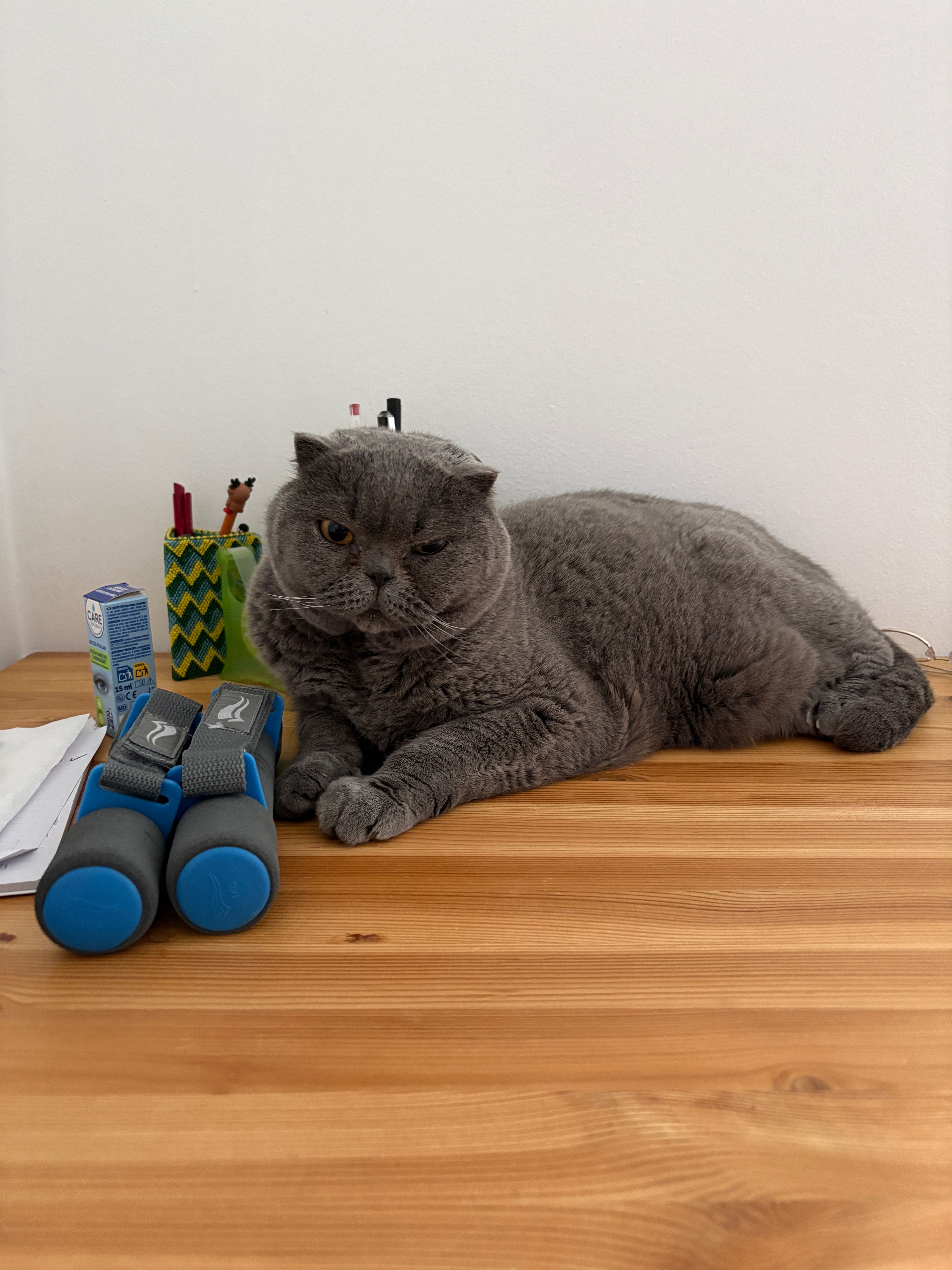 image-15