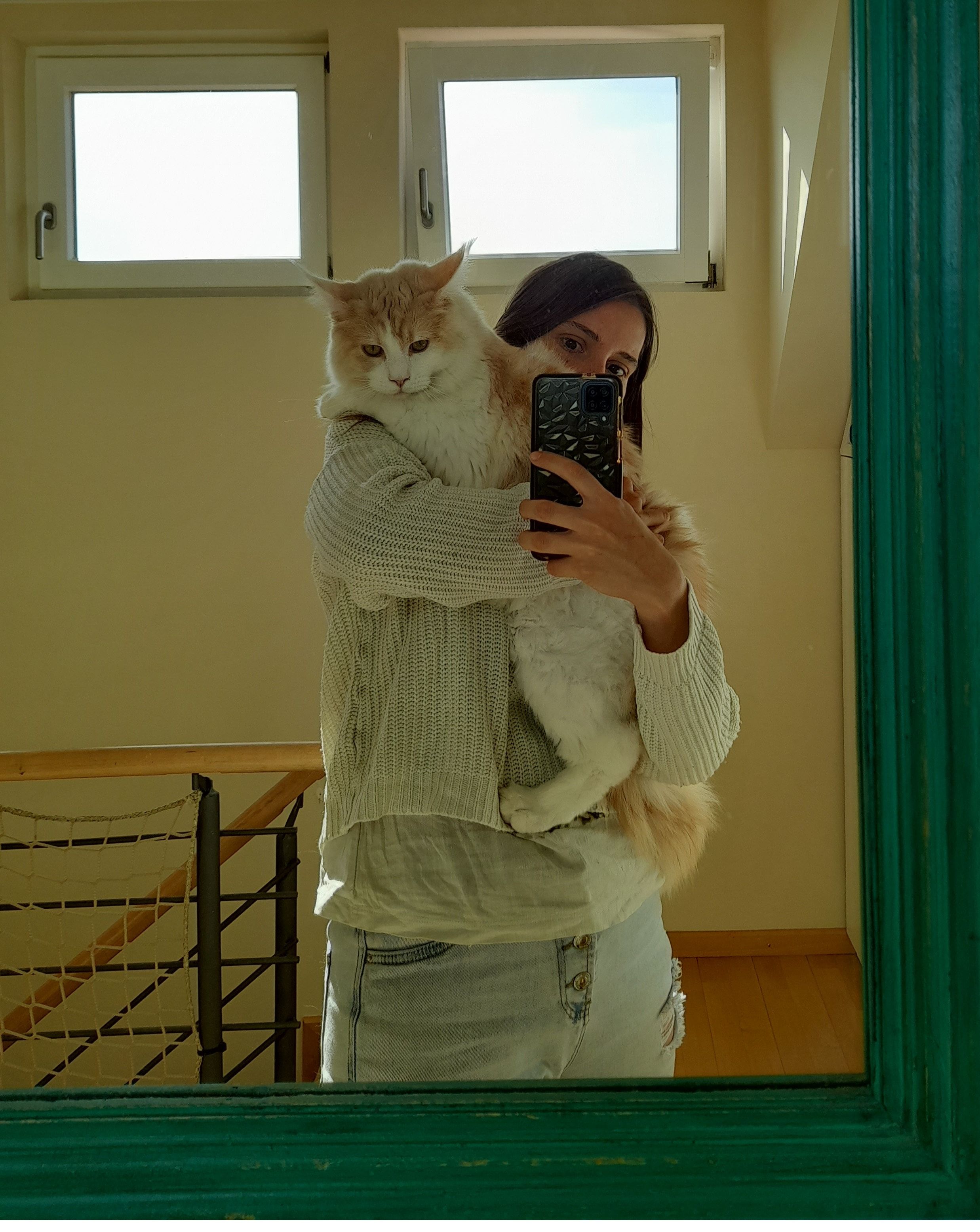 image-6
