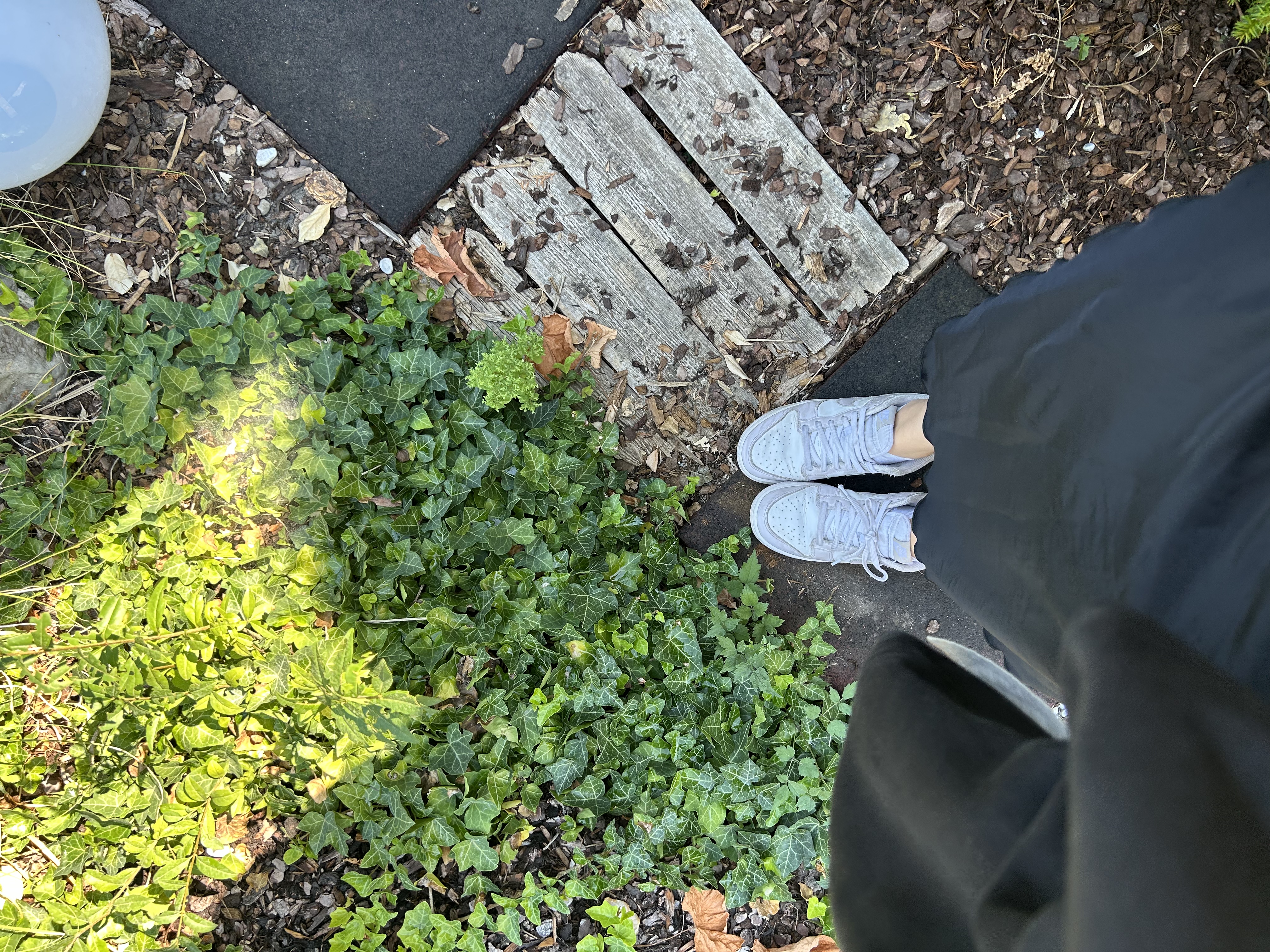 image-17