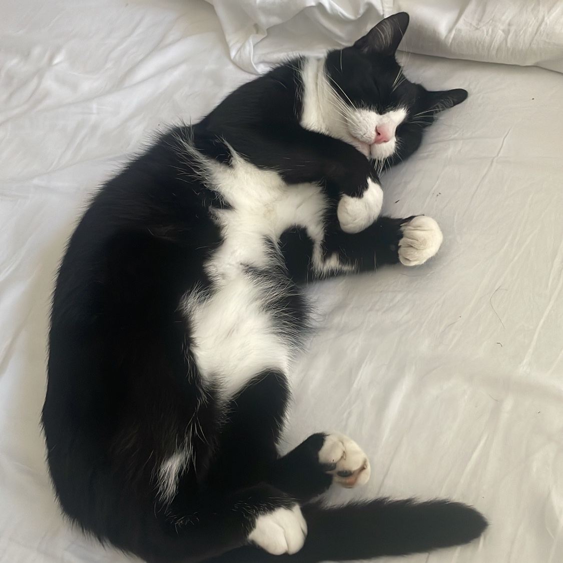 Berlioz 