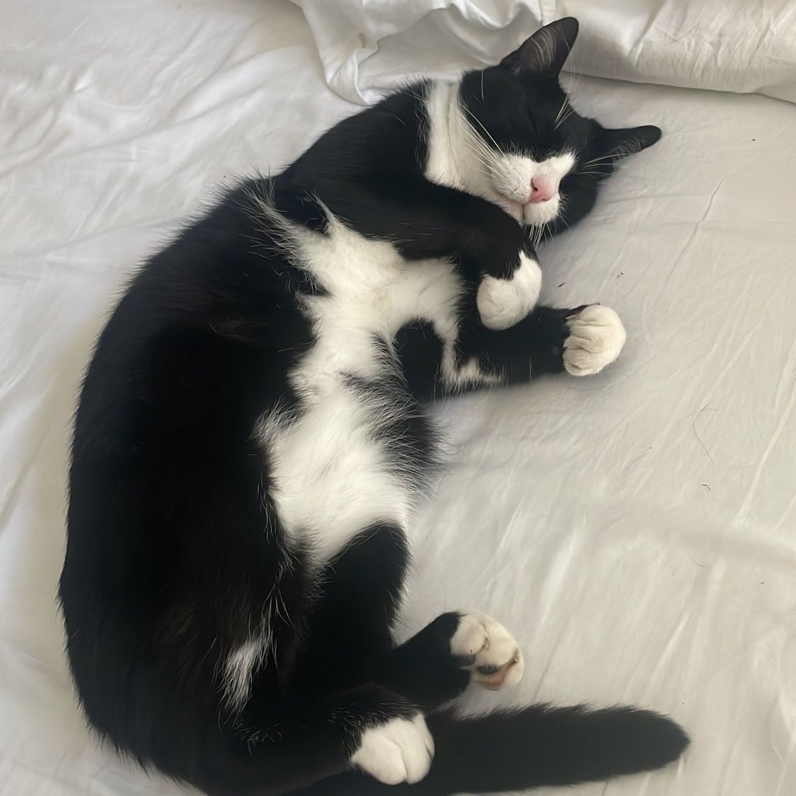 Berlioz
