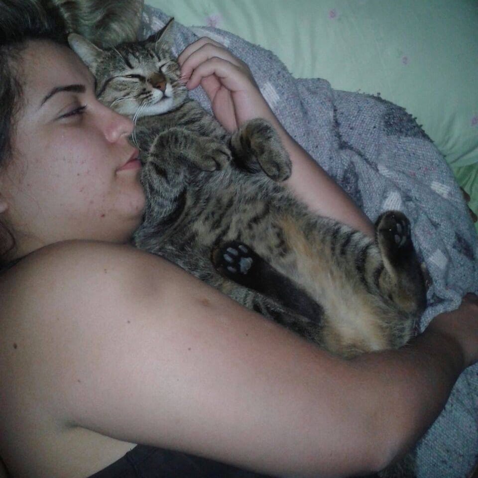 Titoly