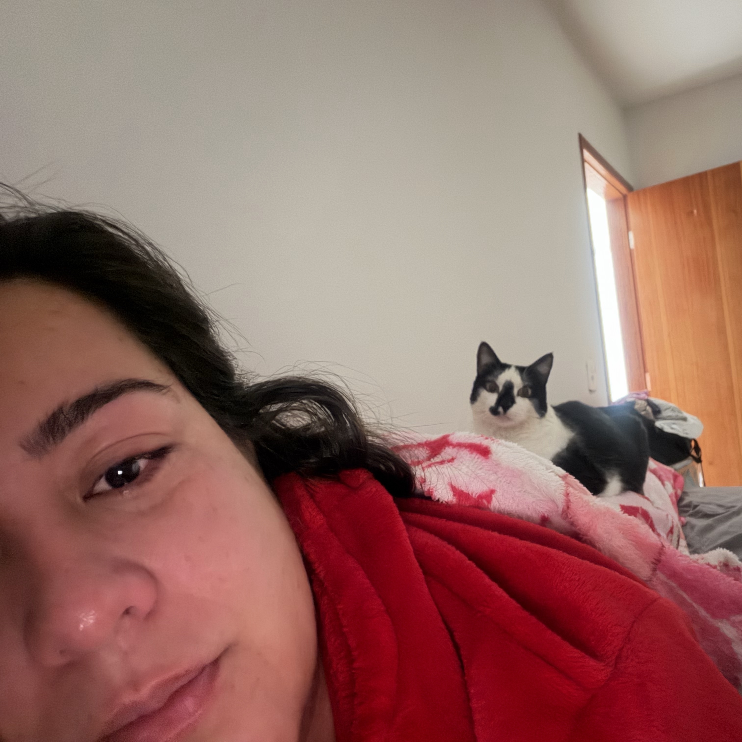 Pipoca 