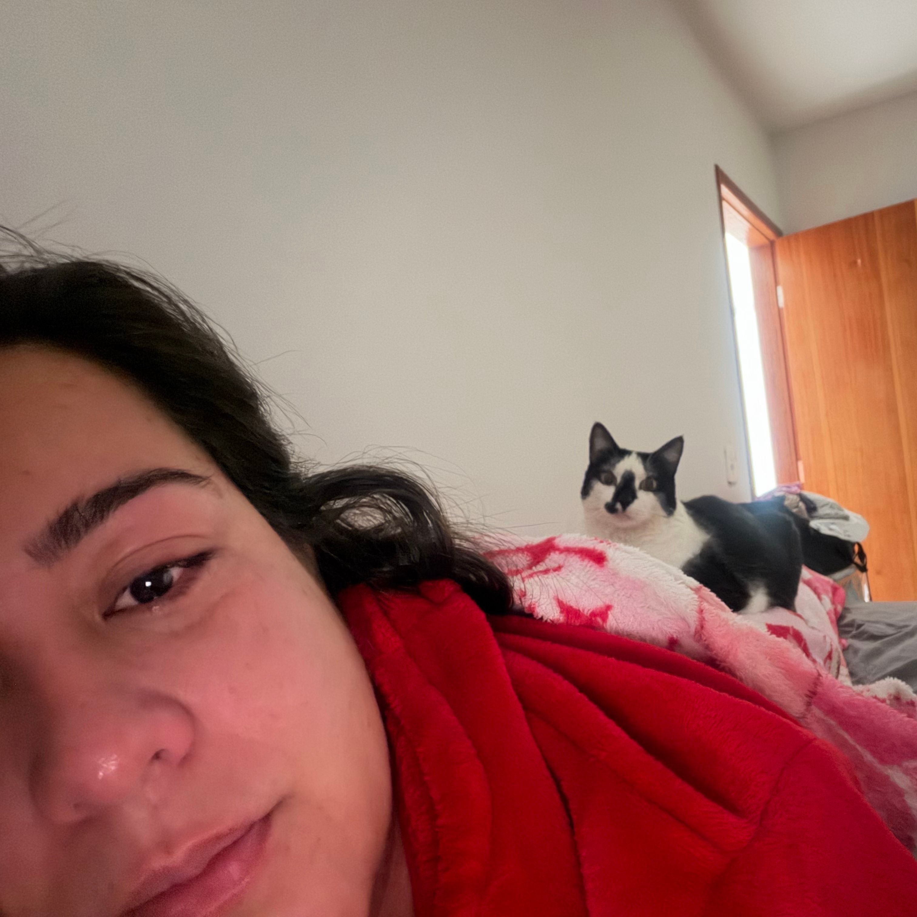 Pipoca