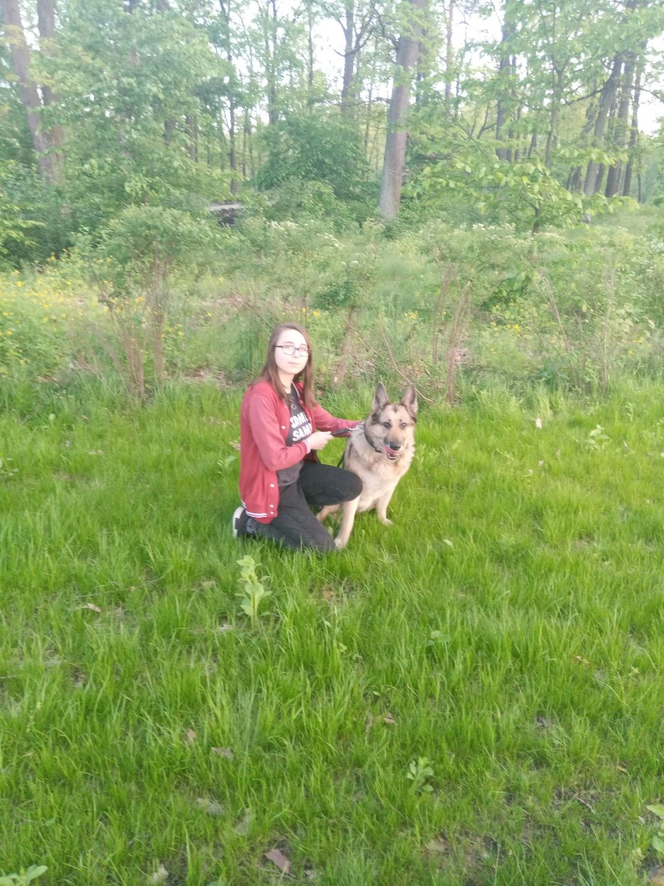 image-7