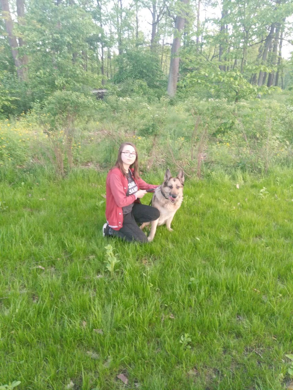 image-7